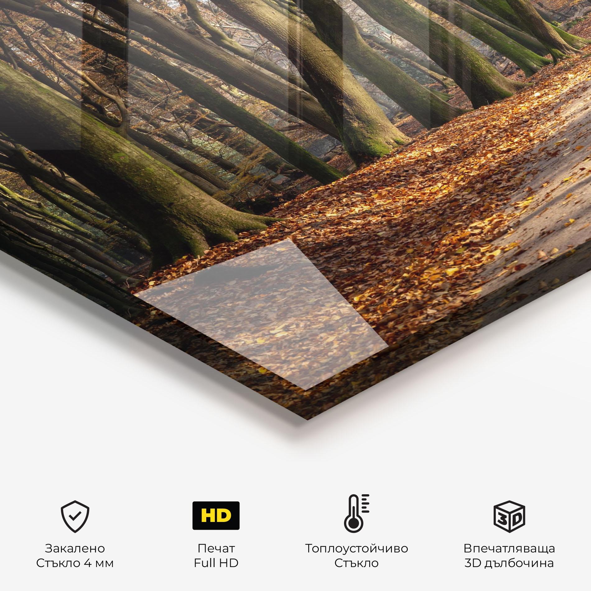 Стъклен панел за кухня Autumn Path Forest mockup 2