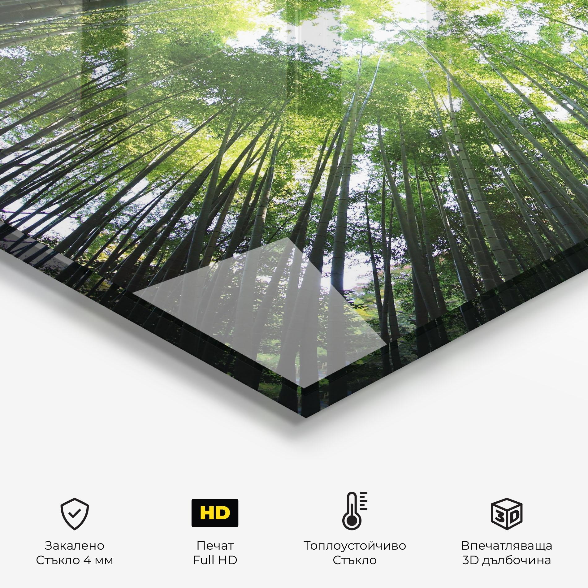 Стъклен панел за кухня Big Trees Morning mockup 2