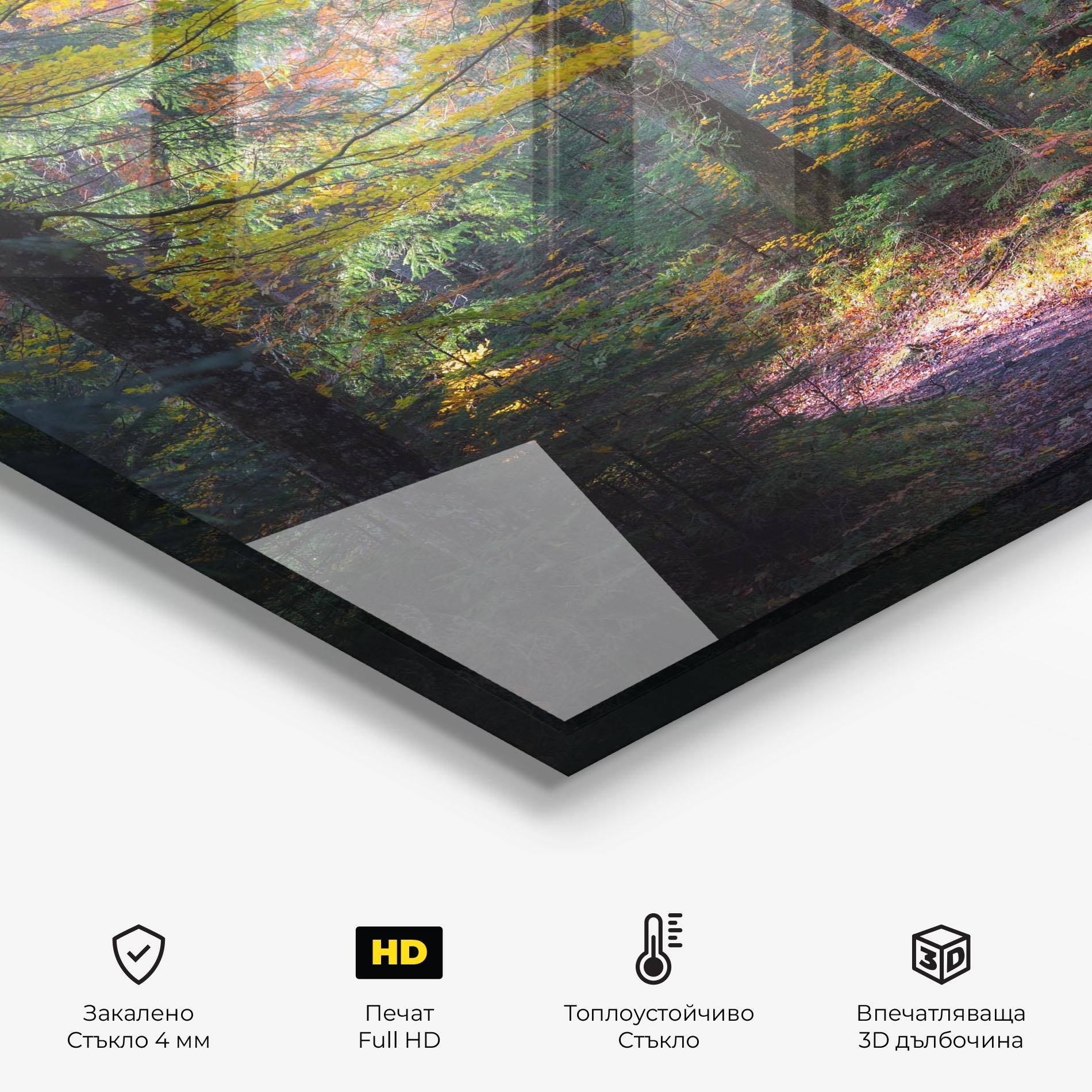 Стъклен панел за кухня Dreamy Path Dorest mockup 2