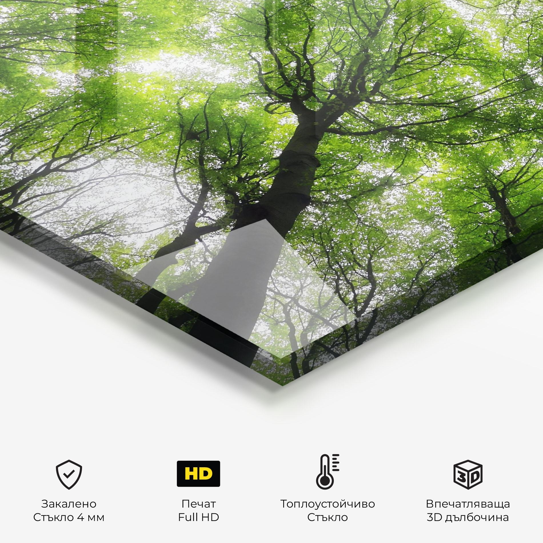 Стъклен панел за кухня Forest Green Tree mockup 2