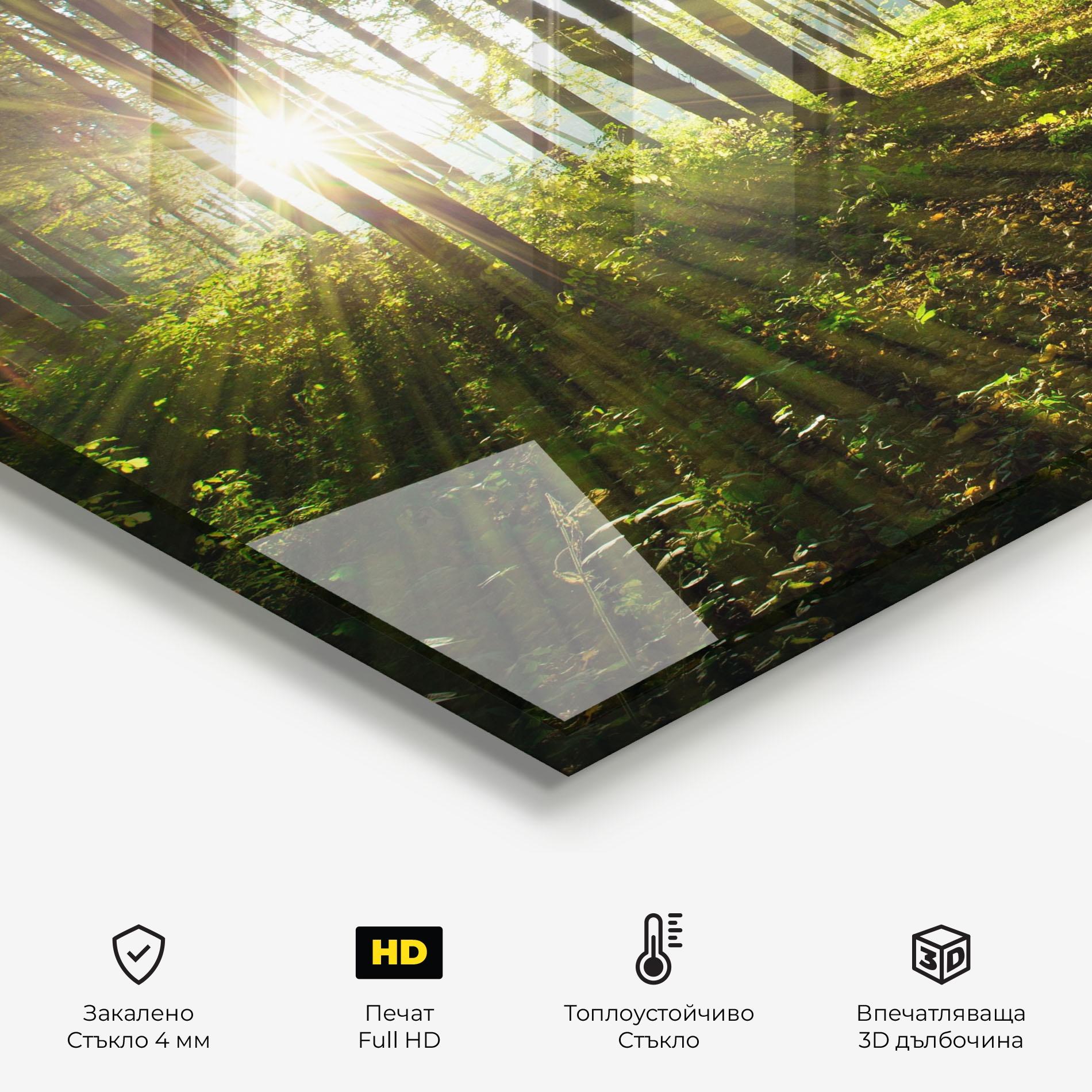 Стъклен панел за кухня Green Light Forest mockup 2