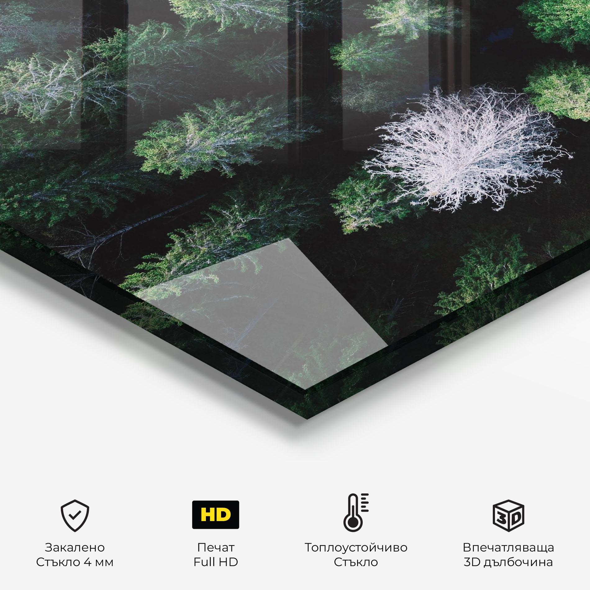 Стъклен панел за кухня Green Trees Road mockup 2