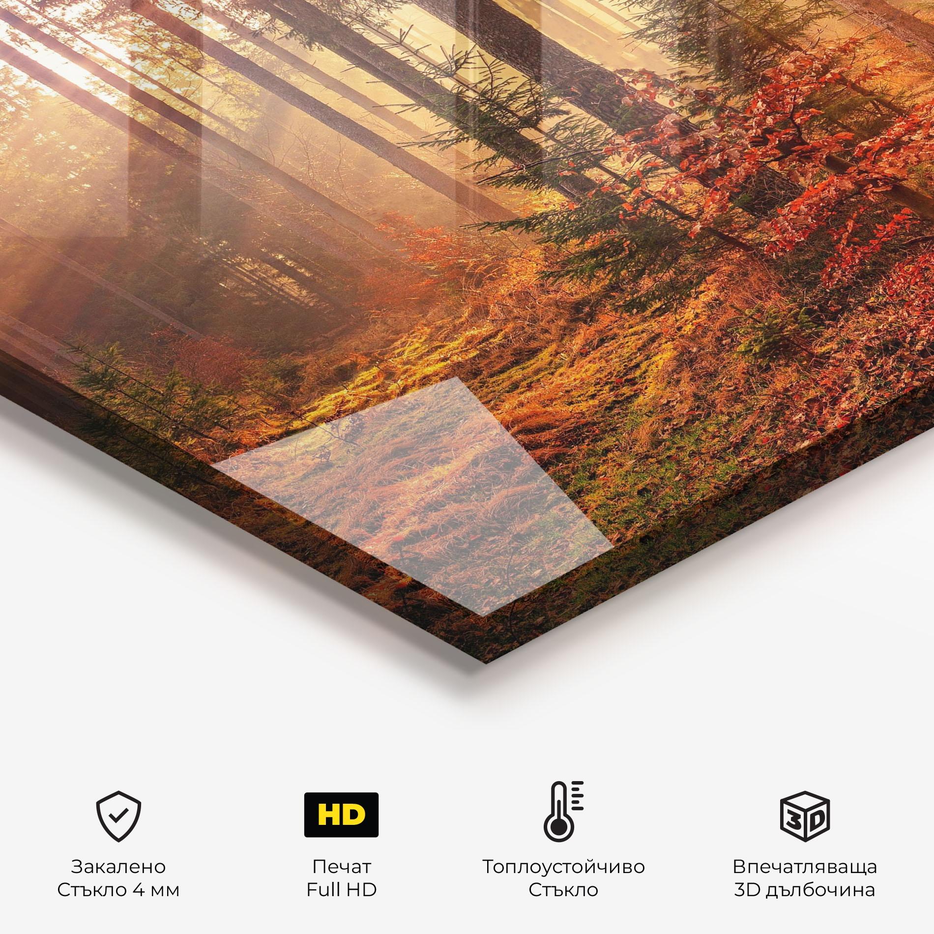 Стъклен панел за кухня Orange Light Forest mockup 2