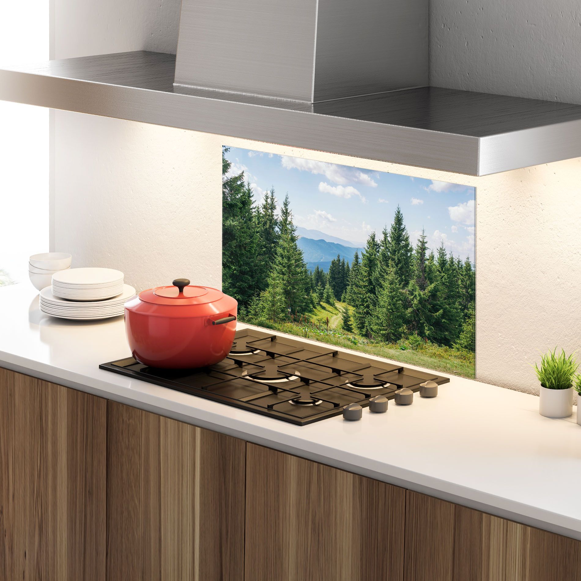 Carpathian Mountain mockup 4