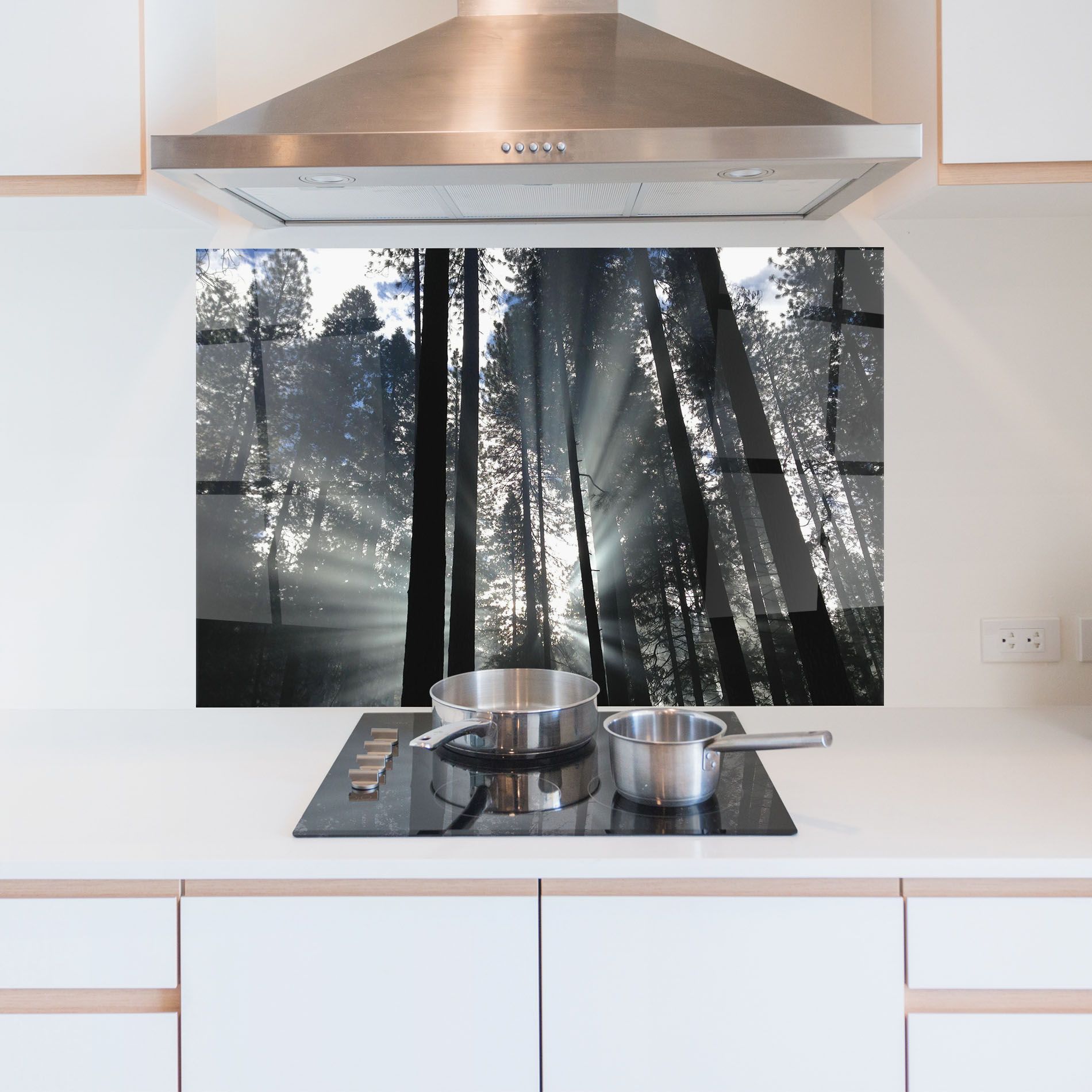 Morning Light Forest mockup 5