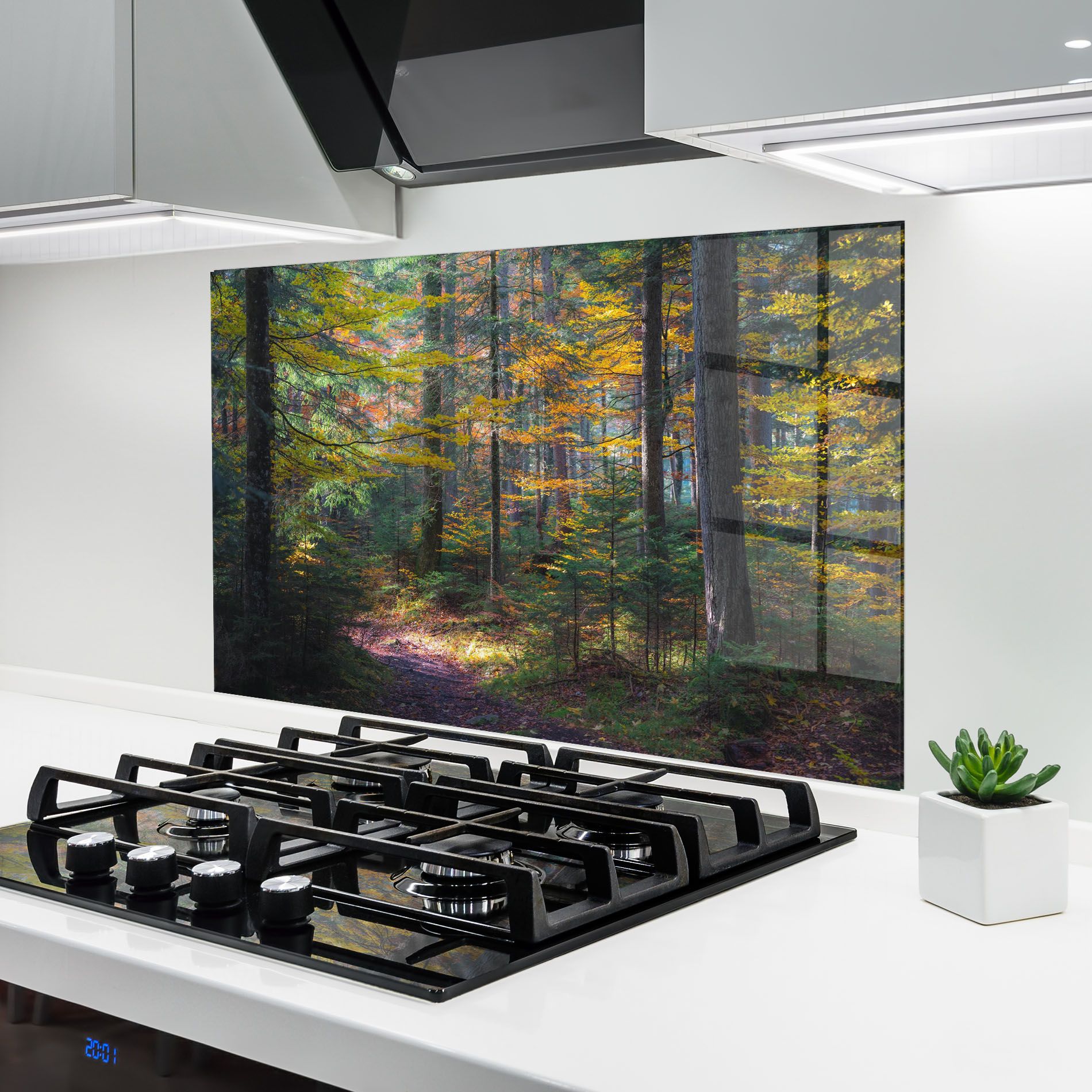 Dreamy Path Dorest mockup 6