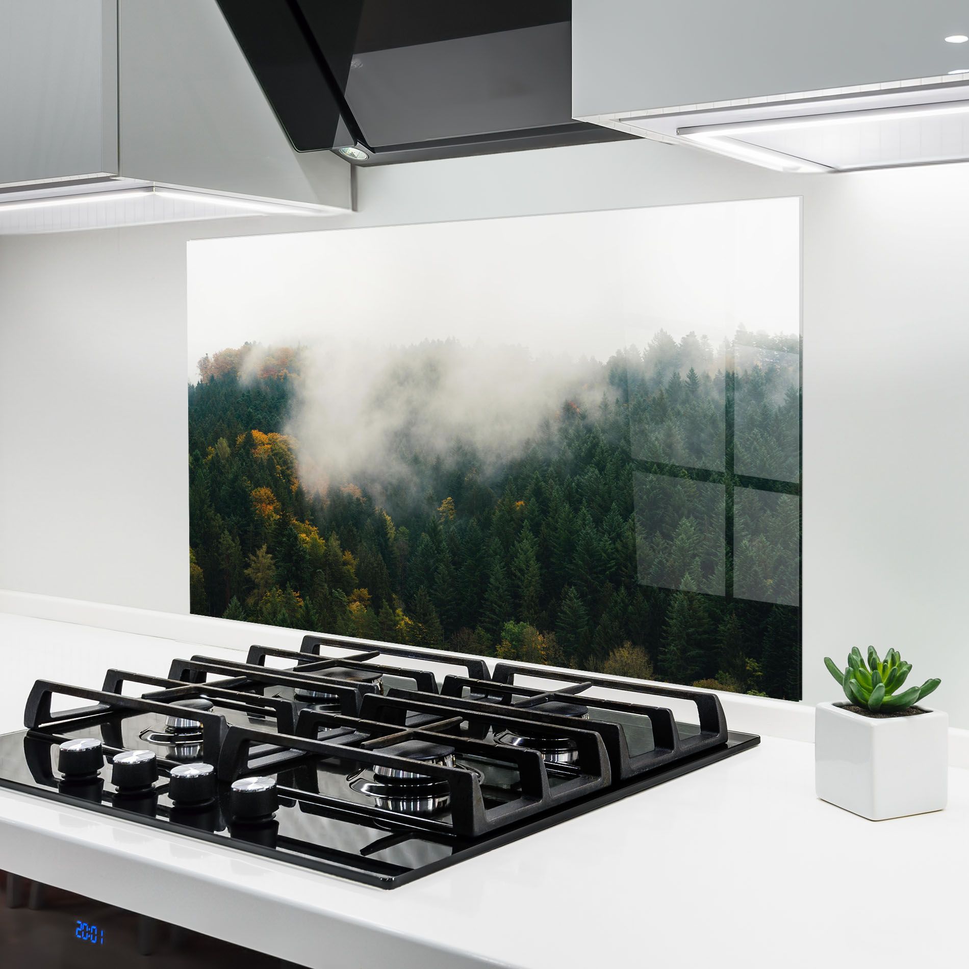 Foggy Tree Forest mockup 6