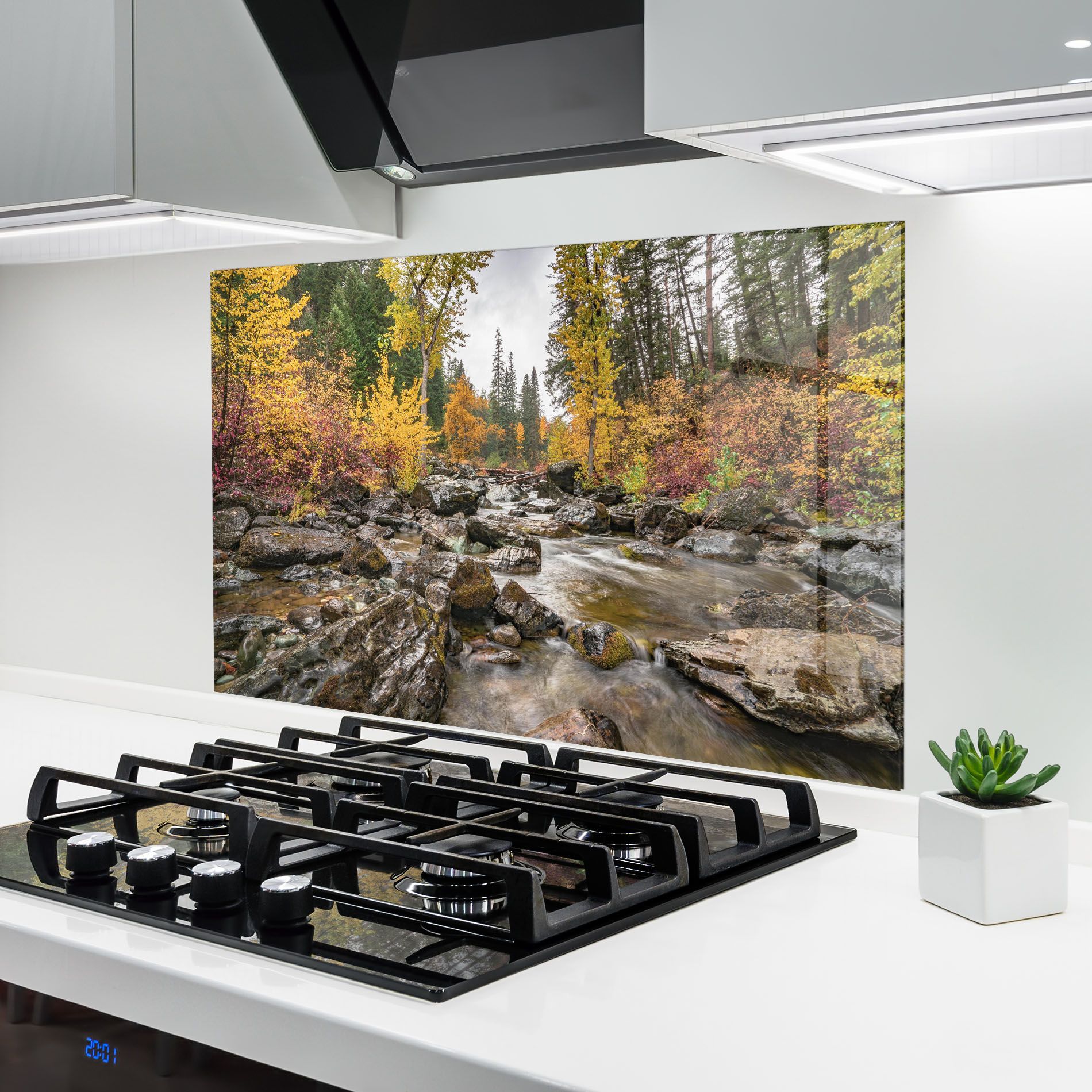 Forest Lake Rocks mockup 6