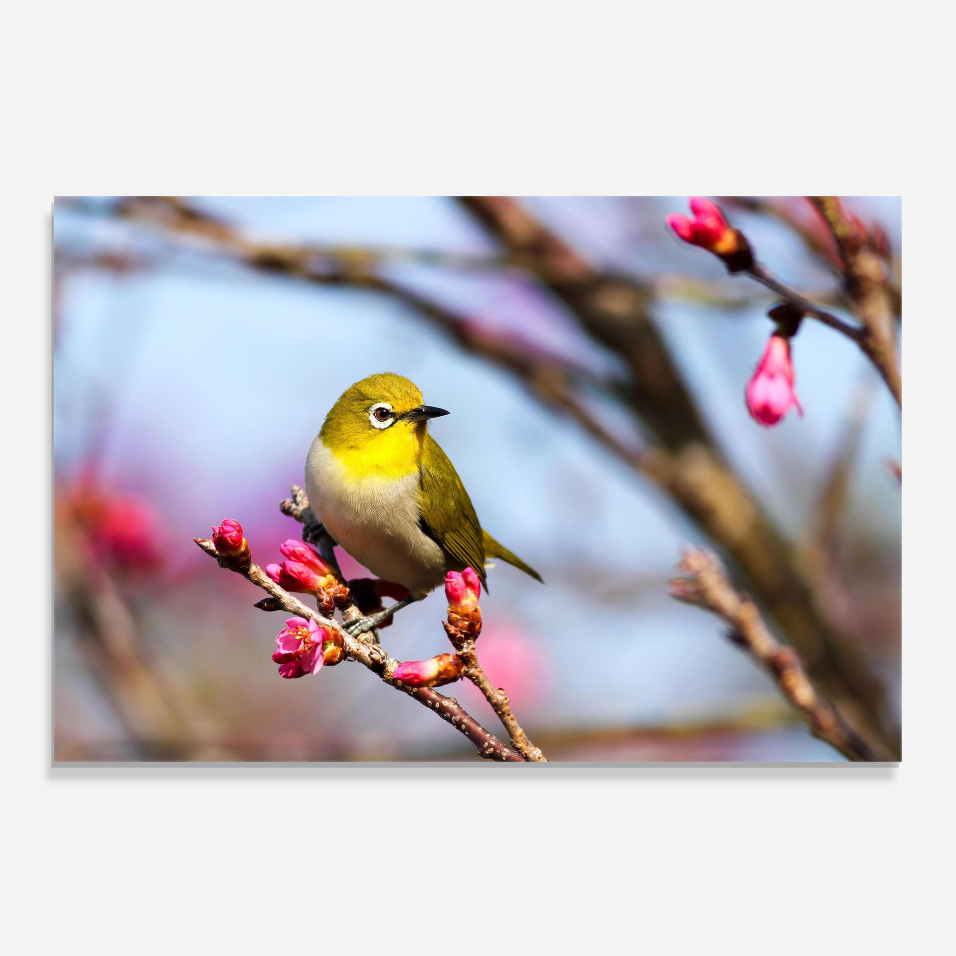 Cute Pink Flower Buds mockup 0