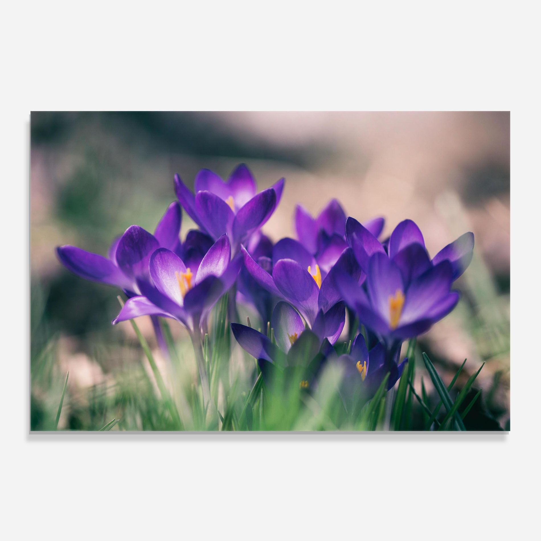Pretty Spring Flower mockup 0