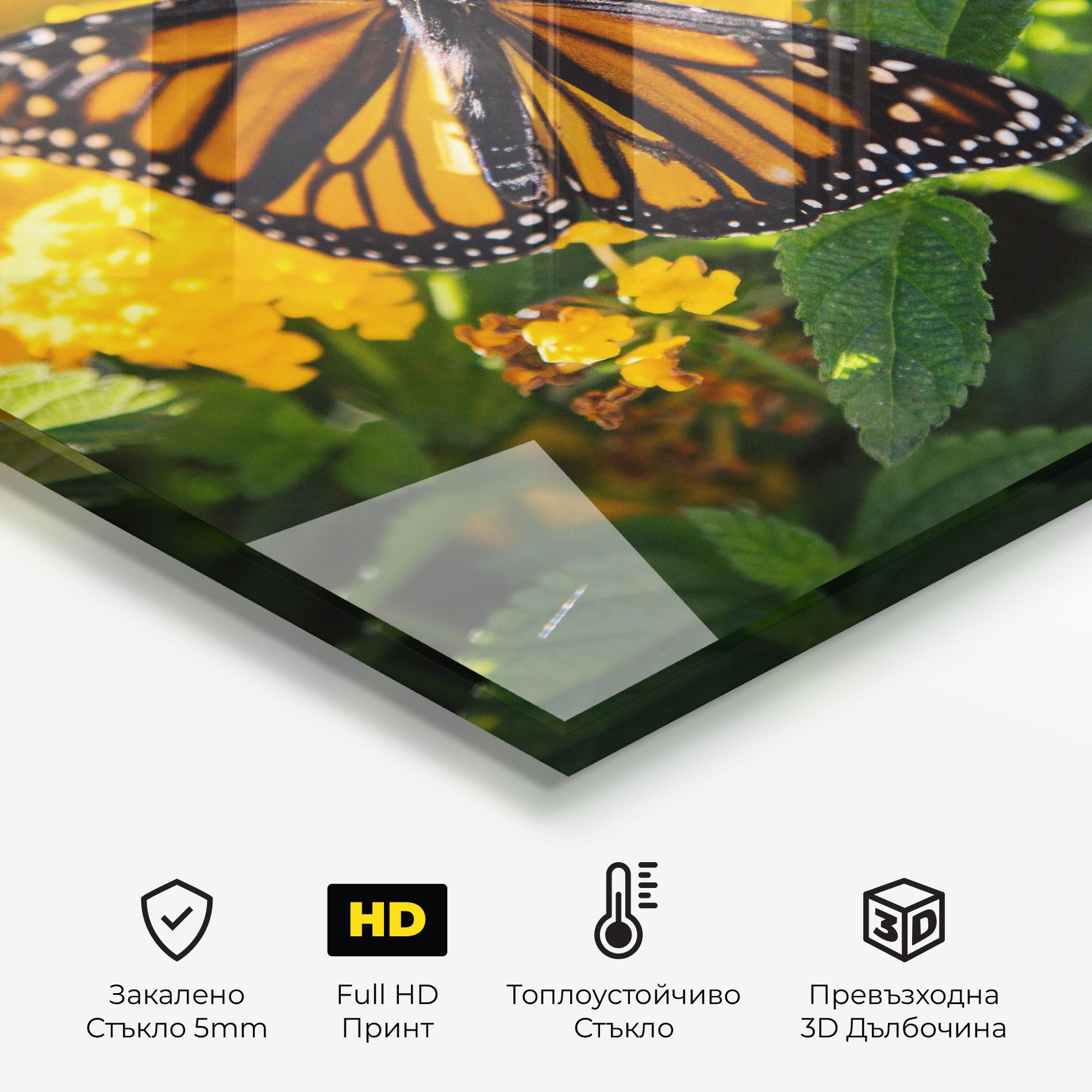 Orange Spring Butterfly mockup 2