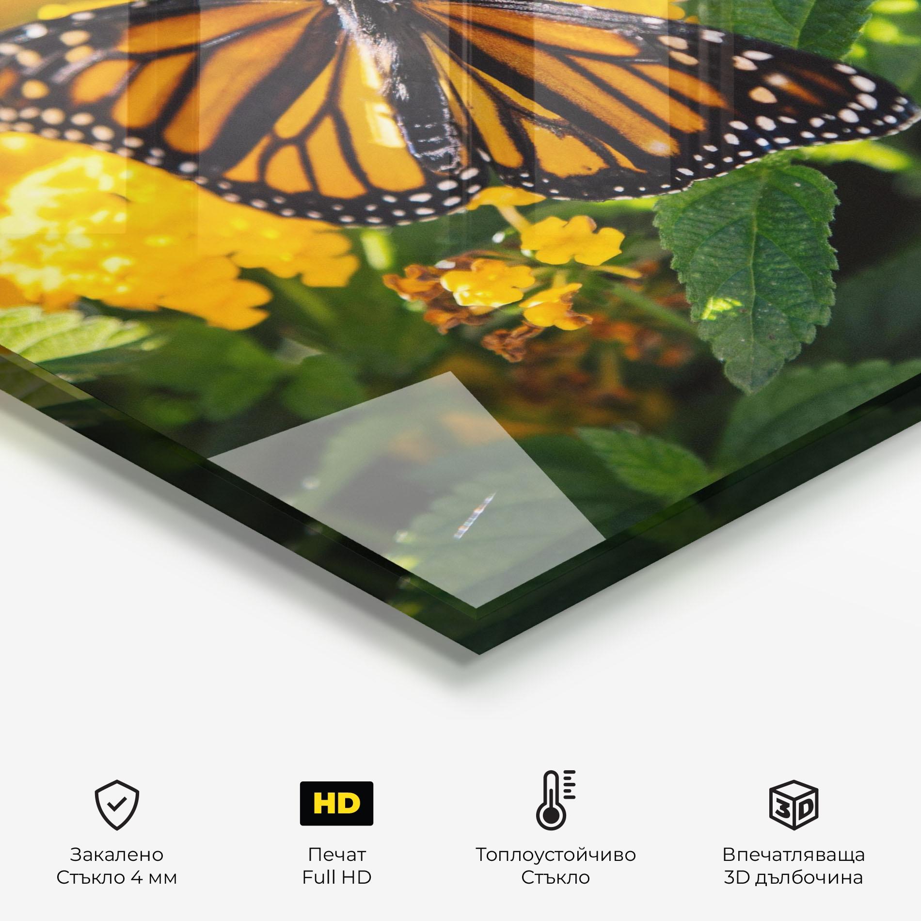 Стъклен панел за кухня Orange Spring Butterfly mockup 2