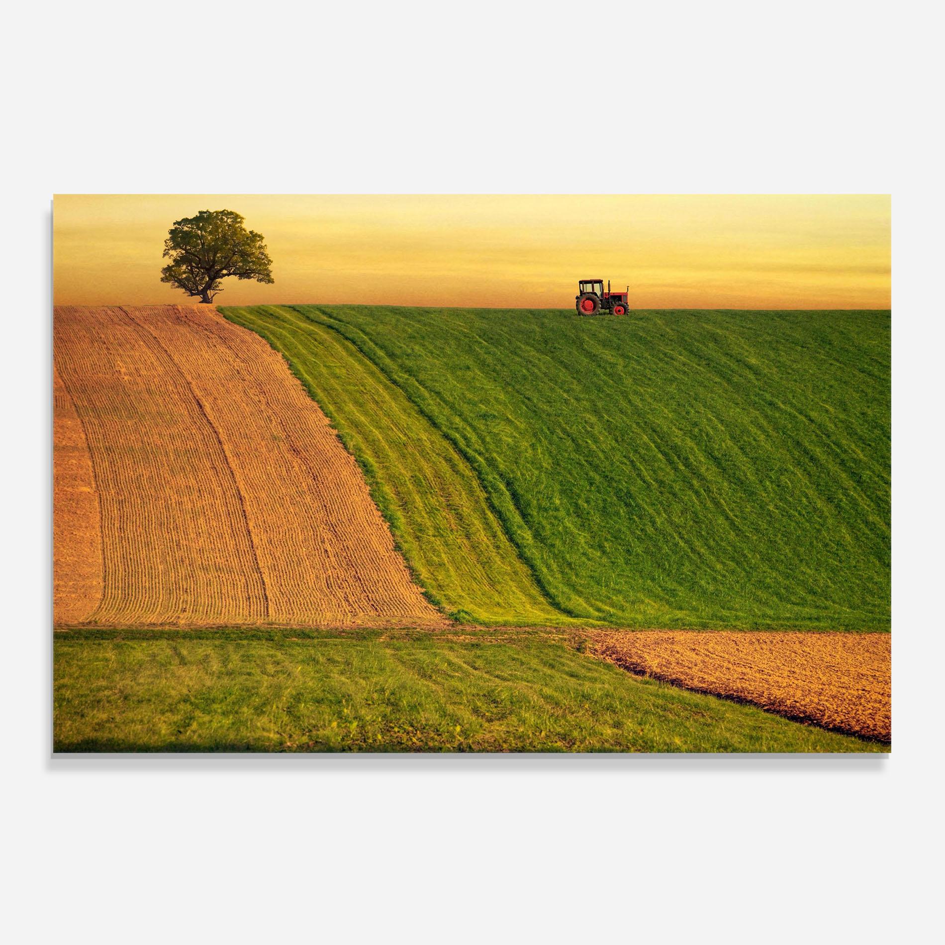 Стъклен панел за кухня Green Cream Field mockup 0