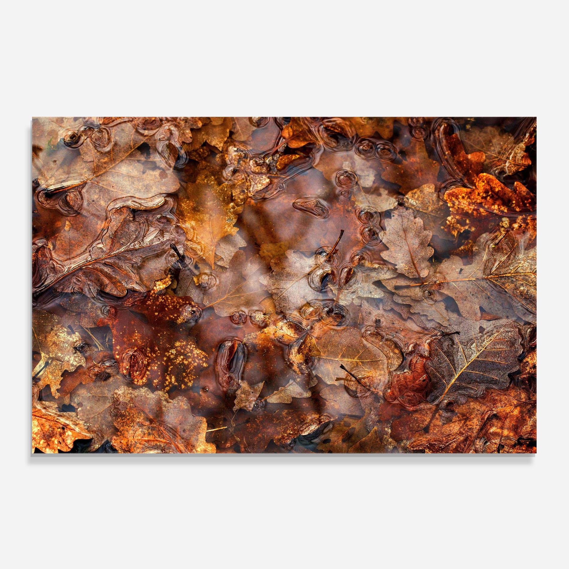 Стъклен панел за кухня Brown mockup 0