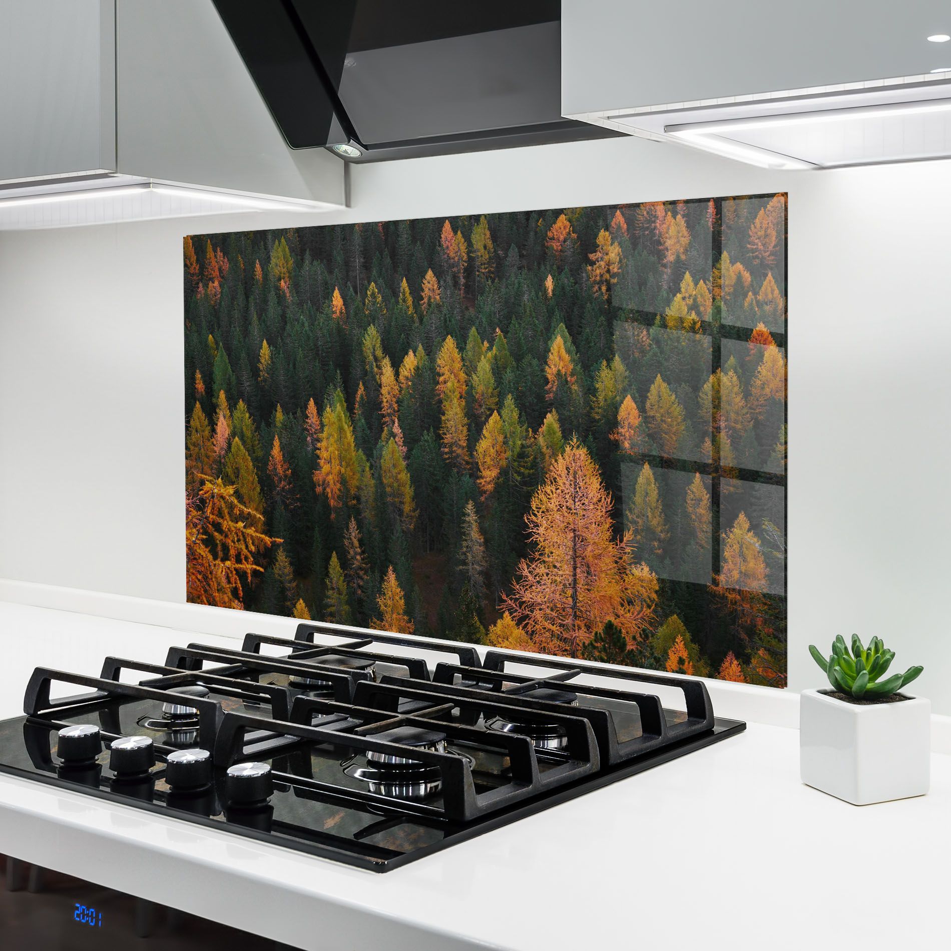 Orange Trees mockup 6