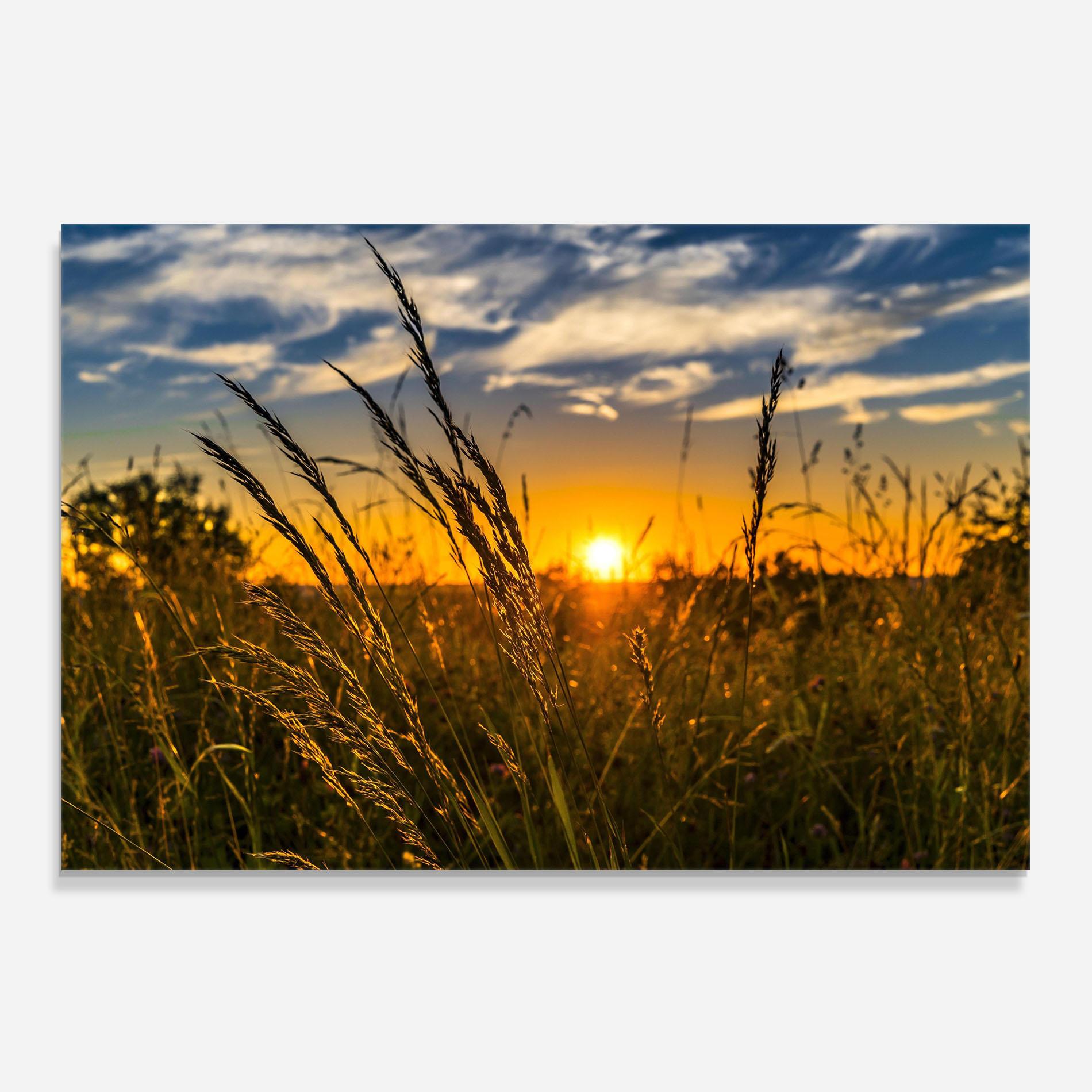 Стъклен панел за кухня Wheat Sunset mockup 0