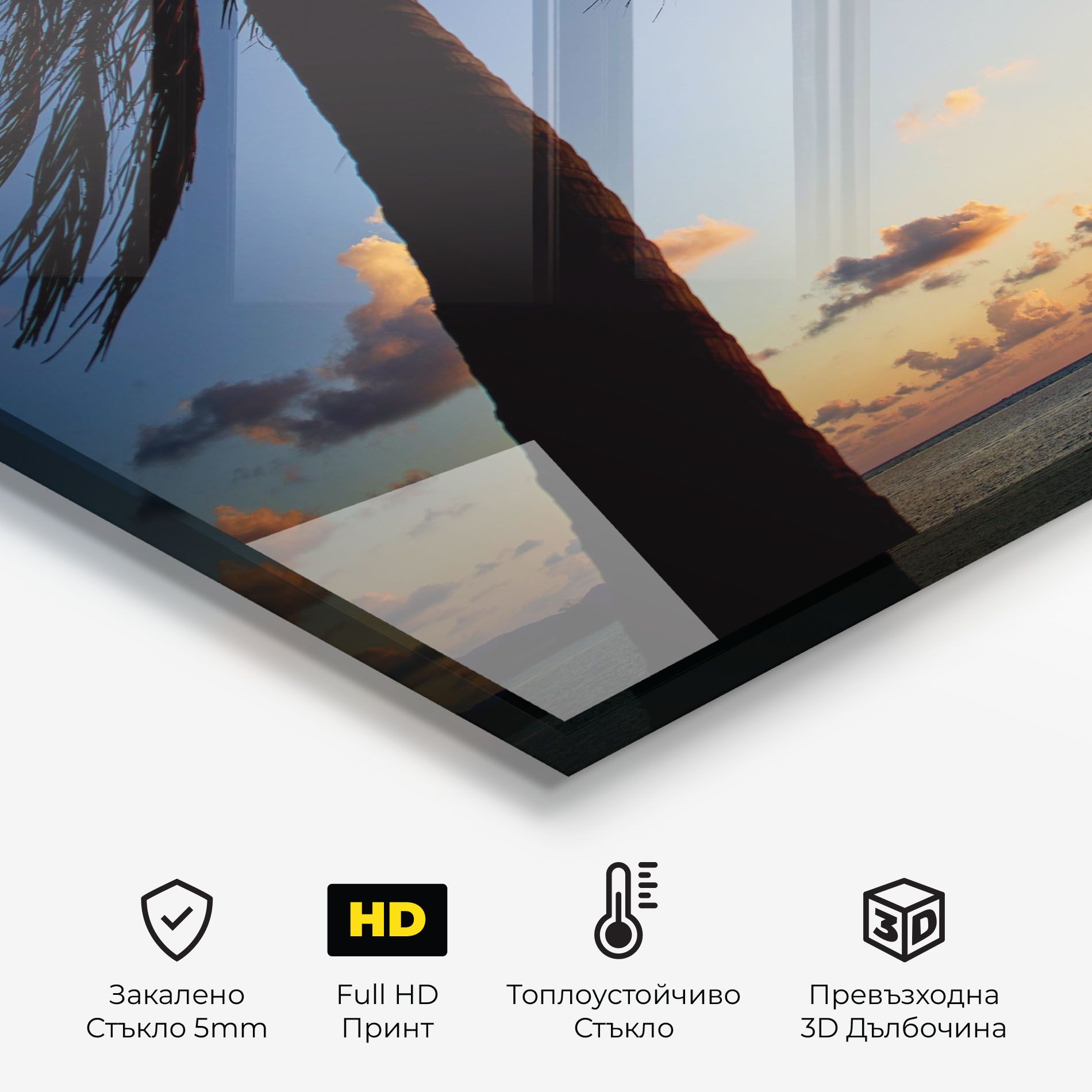 Palm Tree Silhouette mockup 2