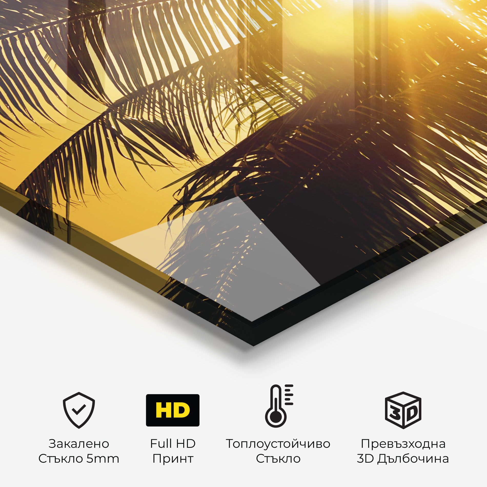 Palm Trees Sun mockup 2