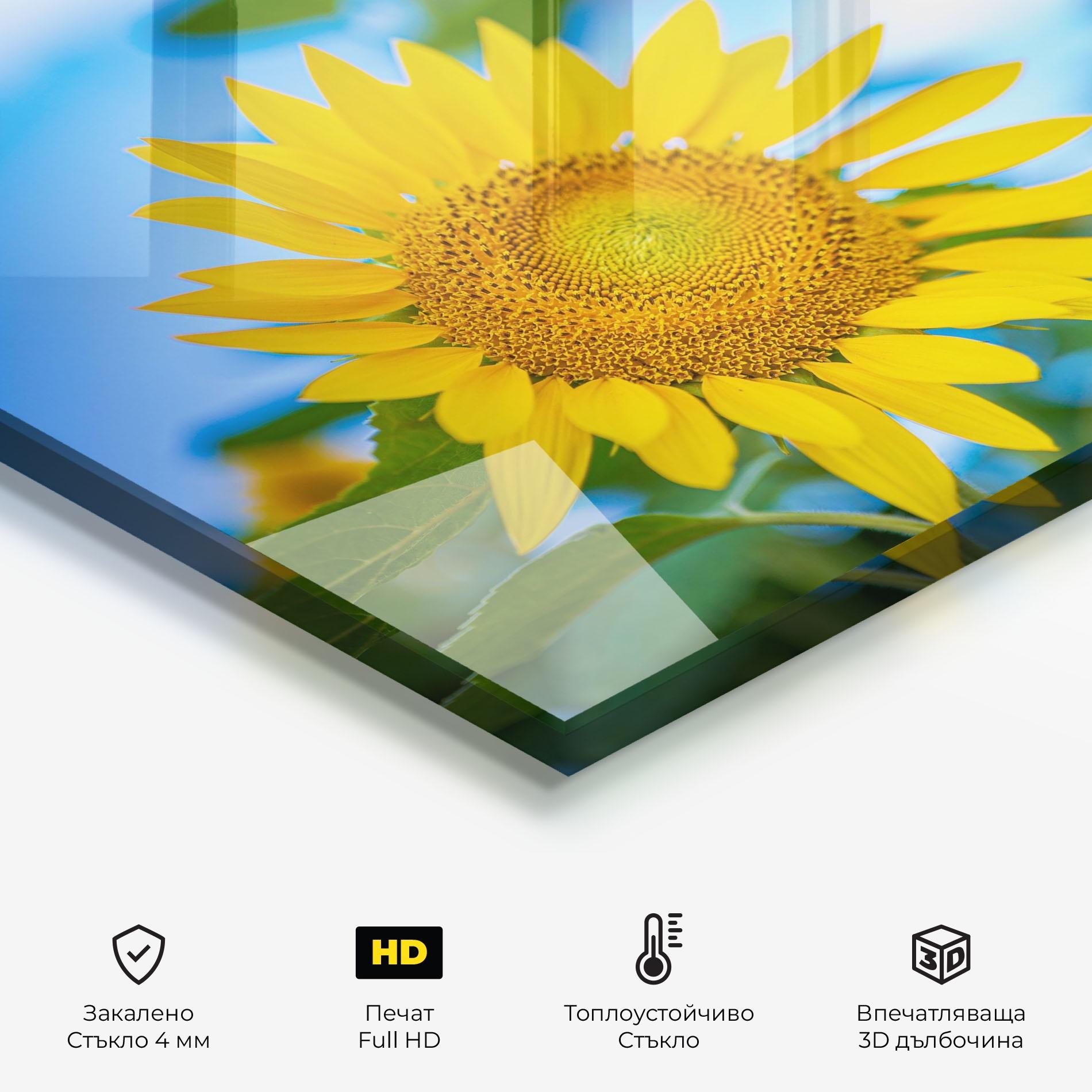 Стъклен панел за кухня Sunflower Sky mockup 2