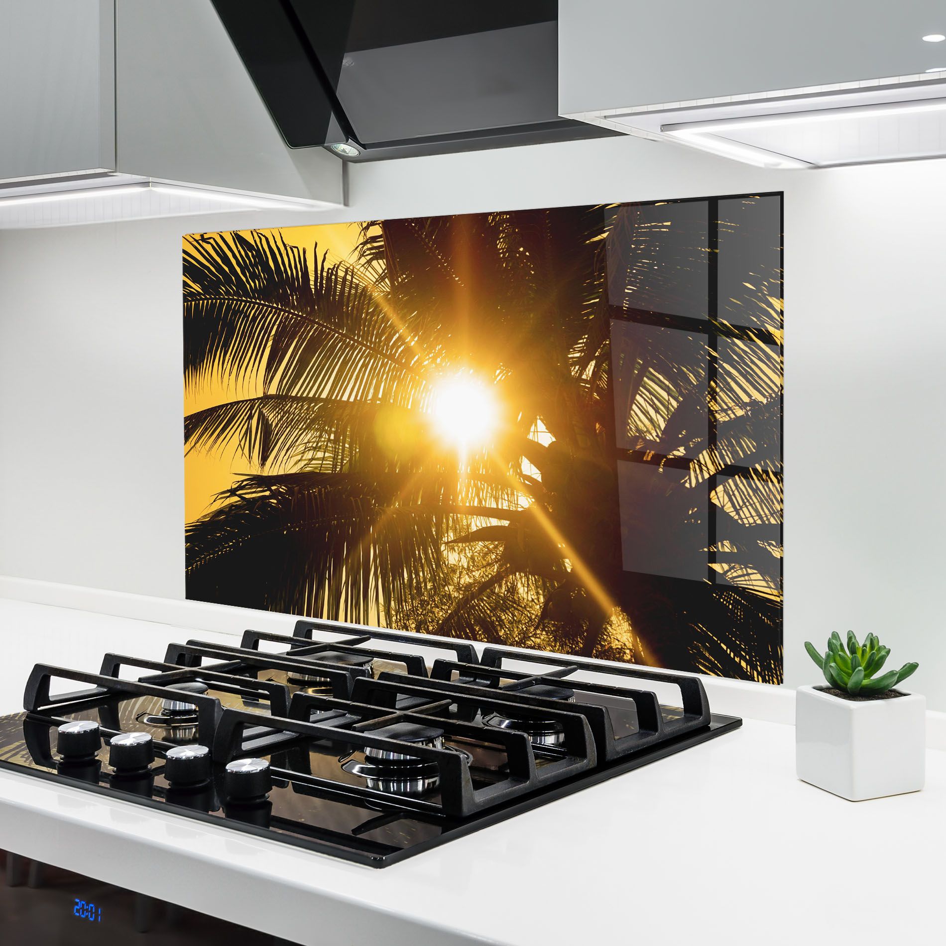 Palm Trees Sun mockup 6