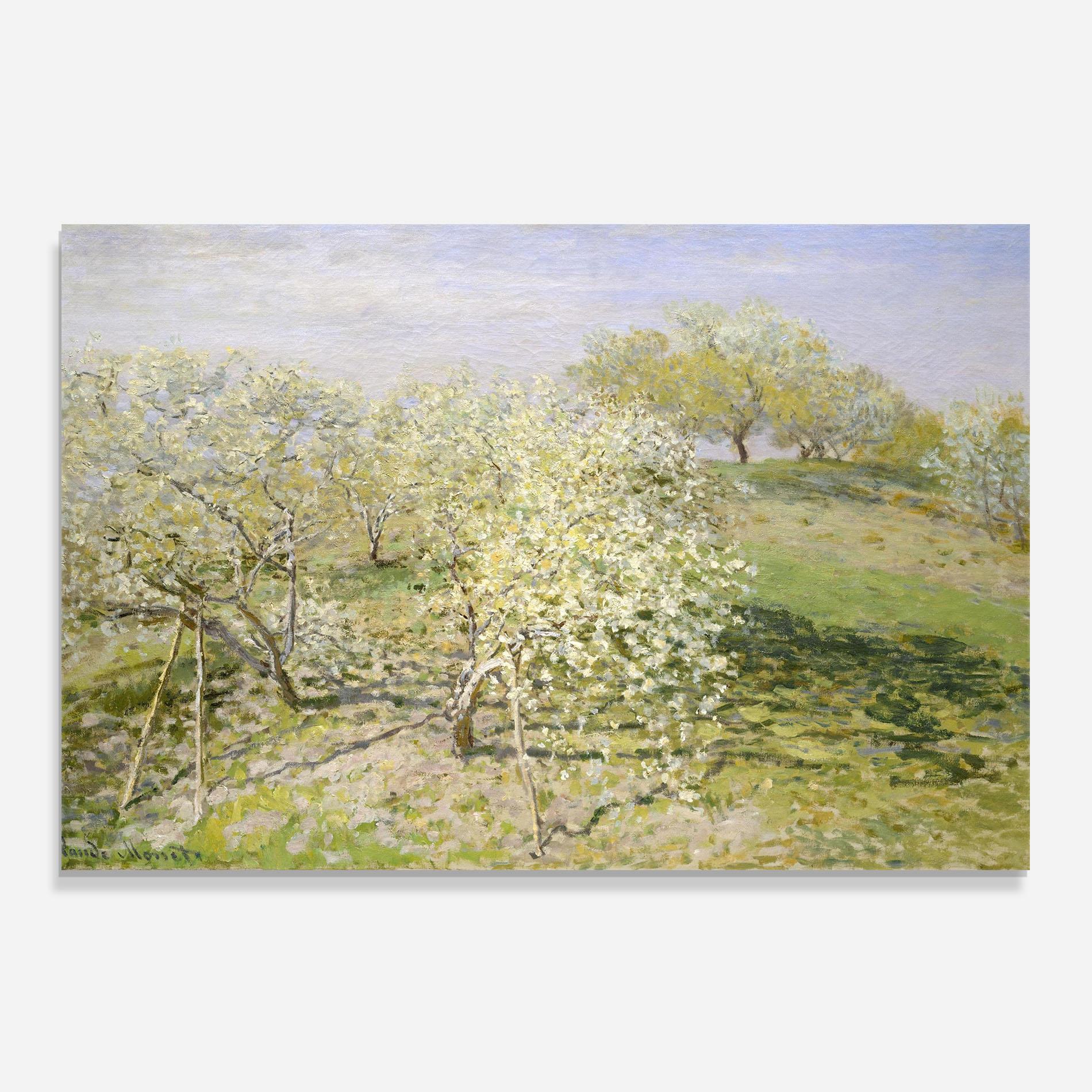 Стъклен панел за кухня Fruit Trees In Bloom mockup 0