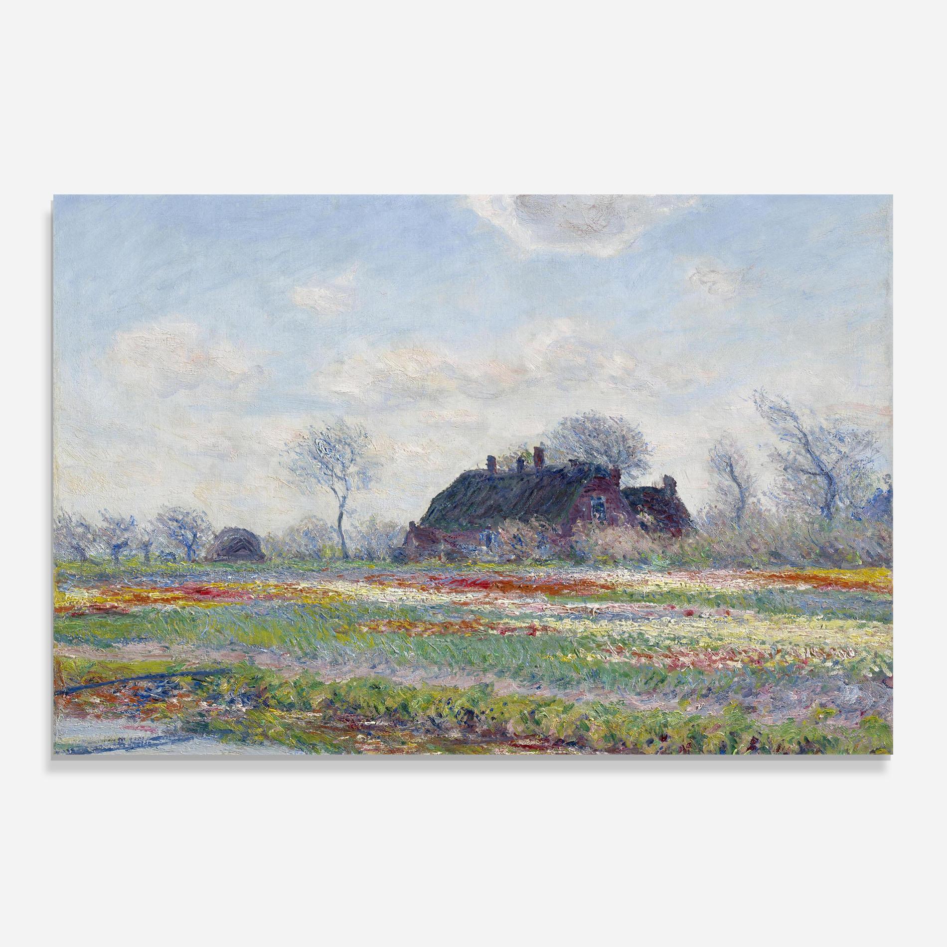 Стъклен панел за кухня Tulip Fields At Sassenheim mockup 0