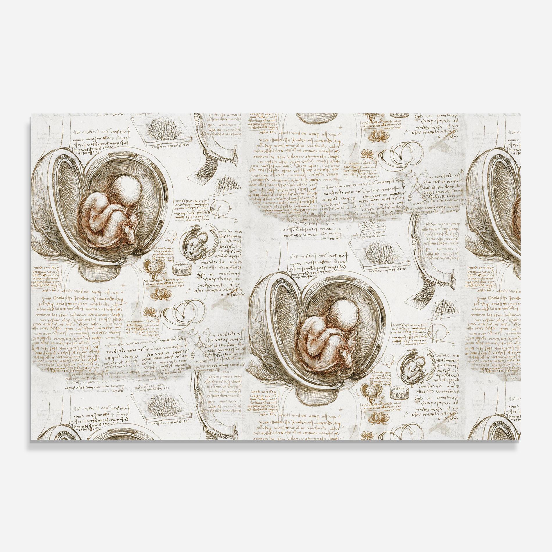 Стъклен панел за кухня Leonardo Studies Of The Foetus mockup 0