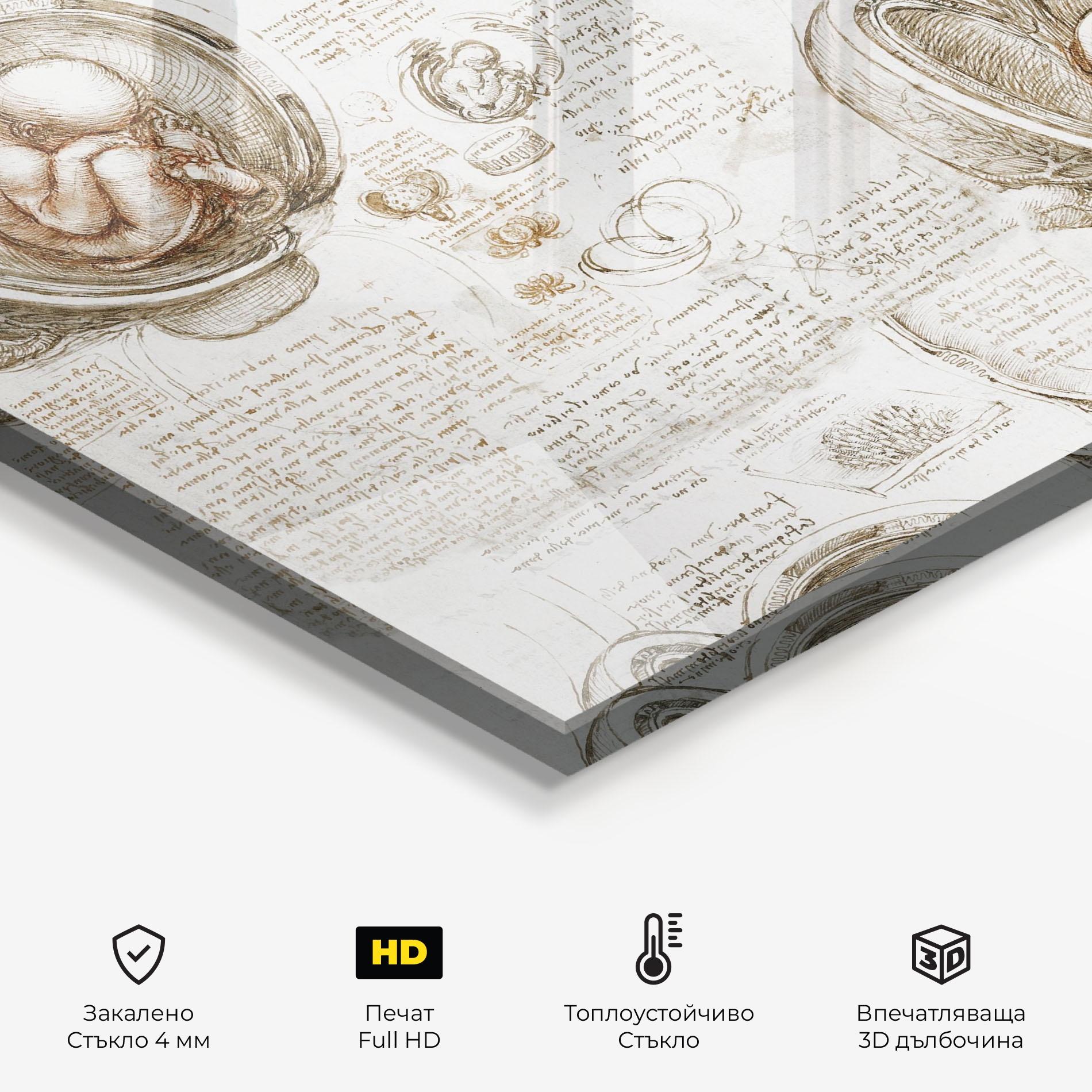 Стъклен панел за кухня Leonardo Studies Of The Foetus mockup 2