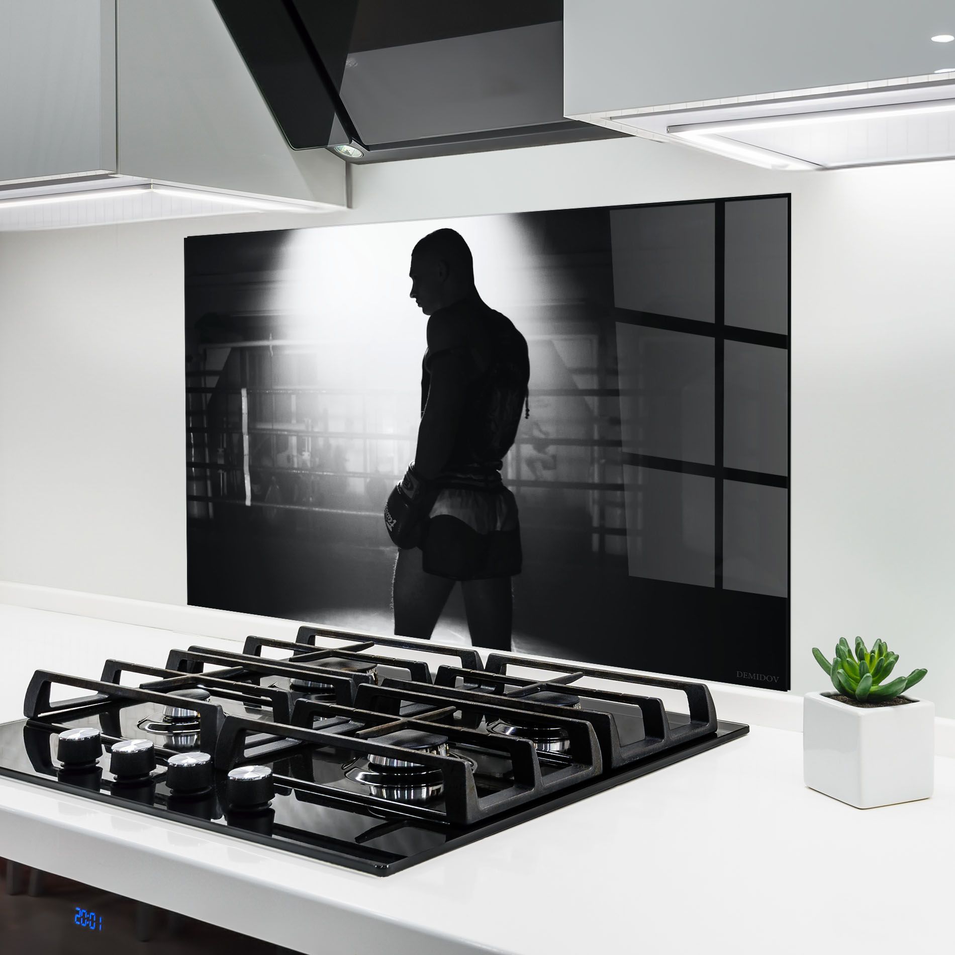 Boxer Shilouette mockup 6