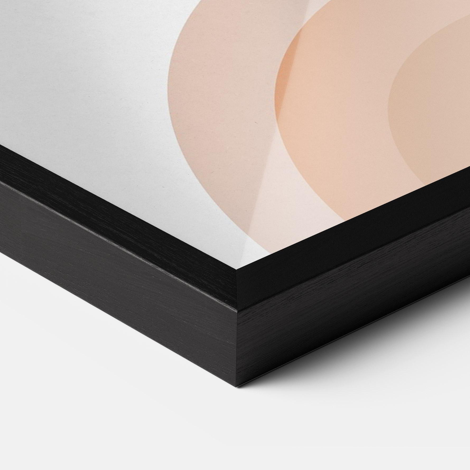 Рамкиран постер Plant Orange Circle mockup 3