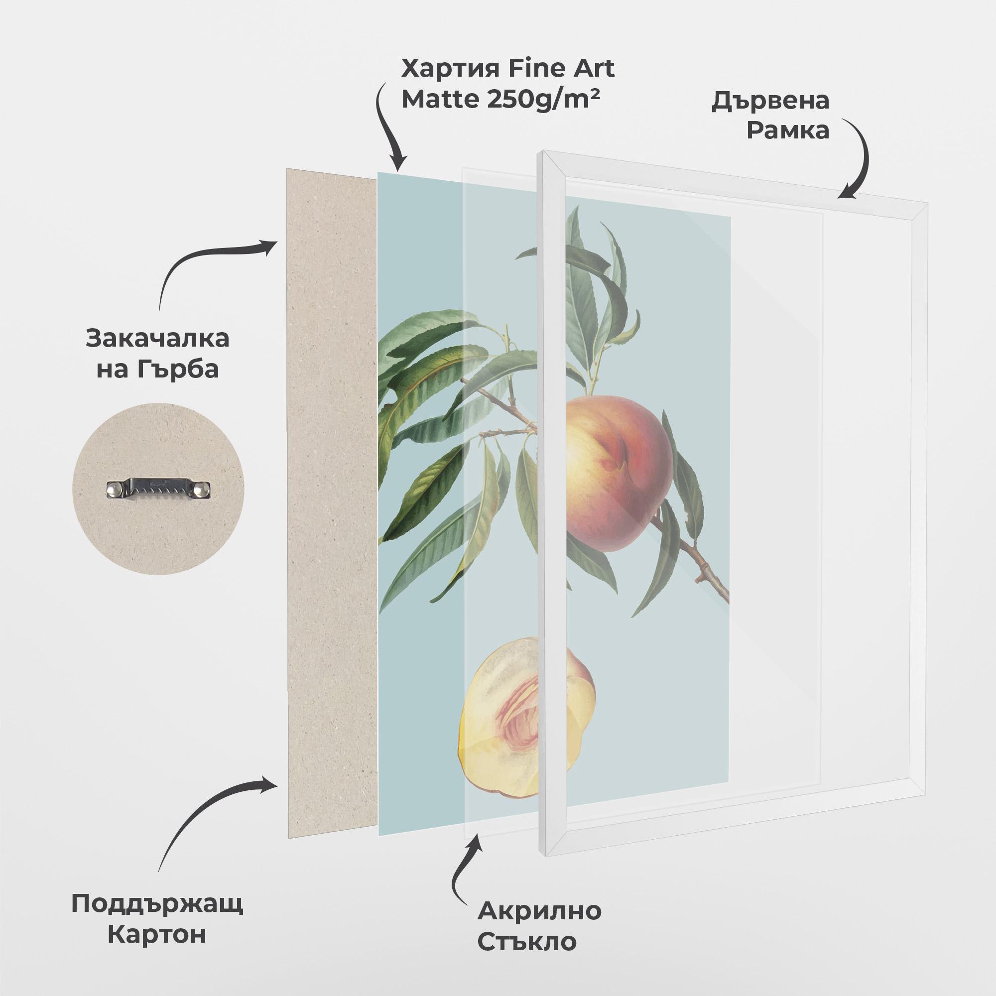 Рамкиран постер Fruit Art mockup 1