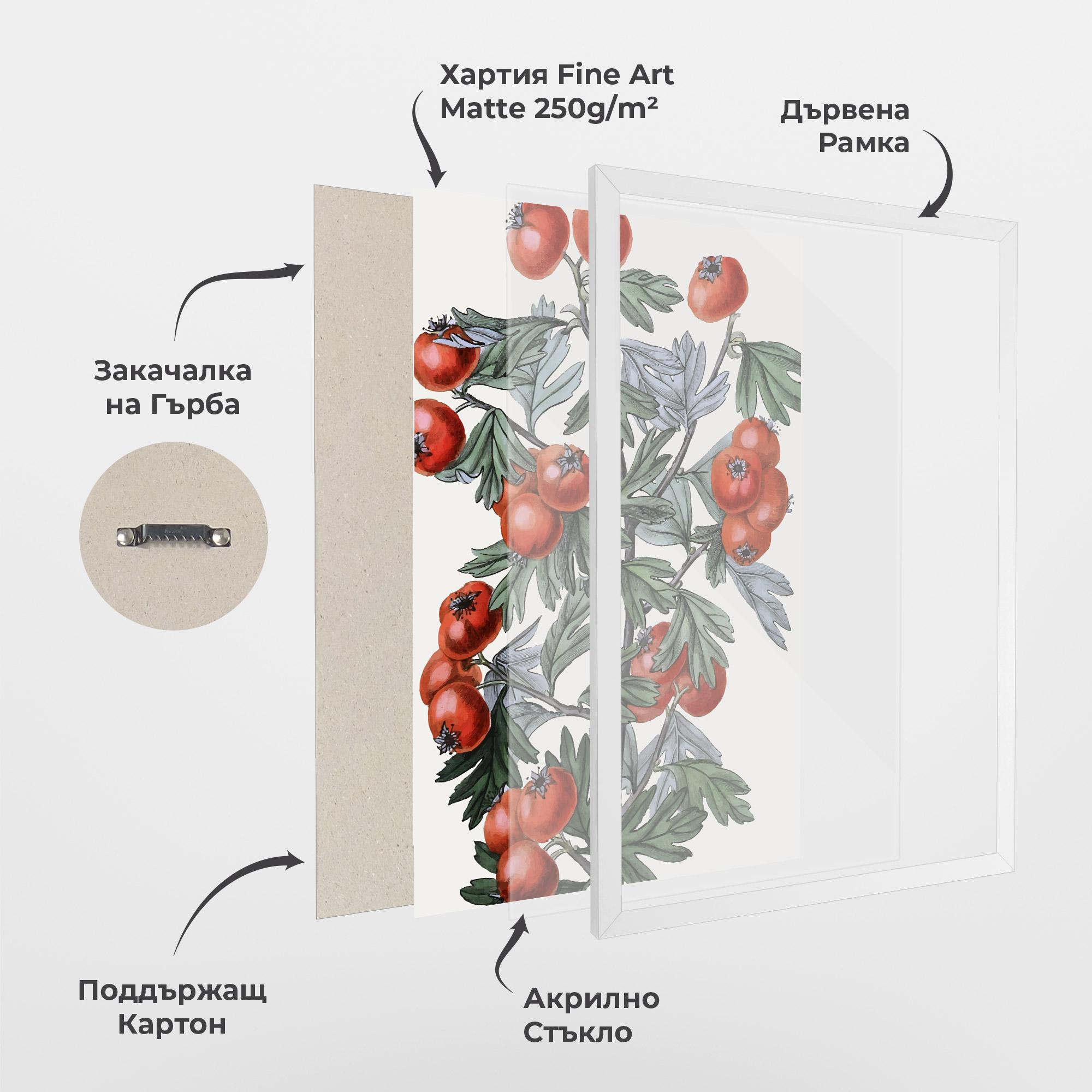 Рамкиран постер Cherry Drawing mockup 1