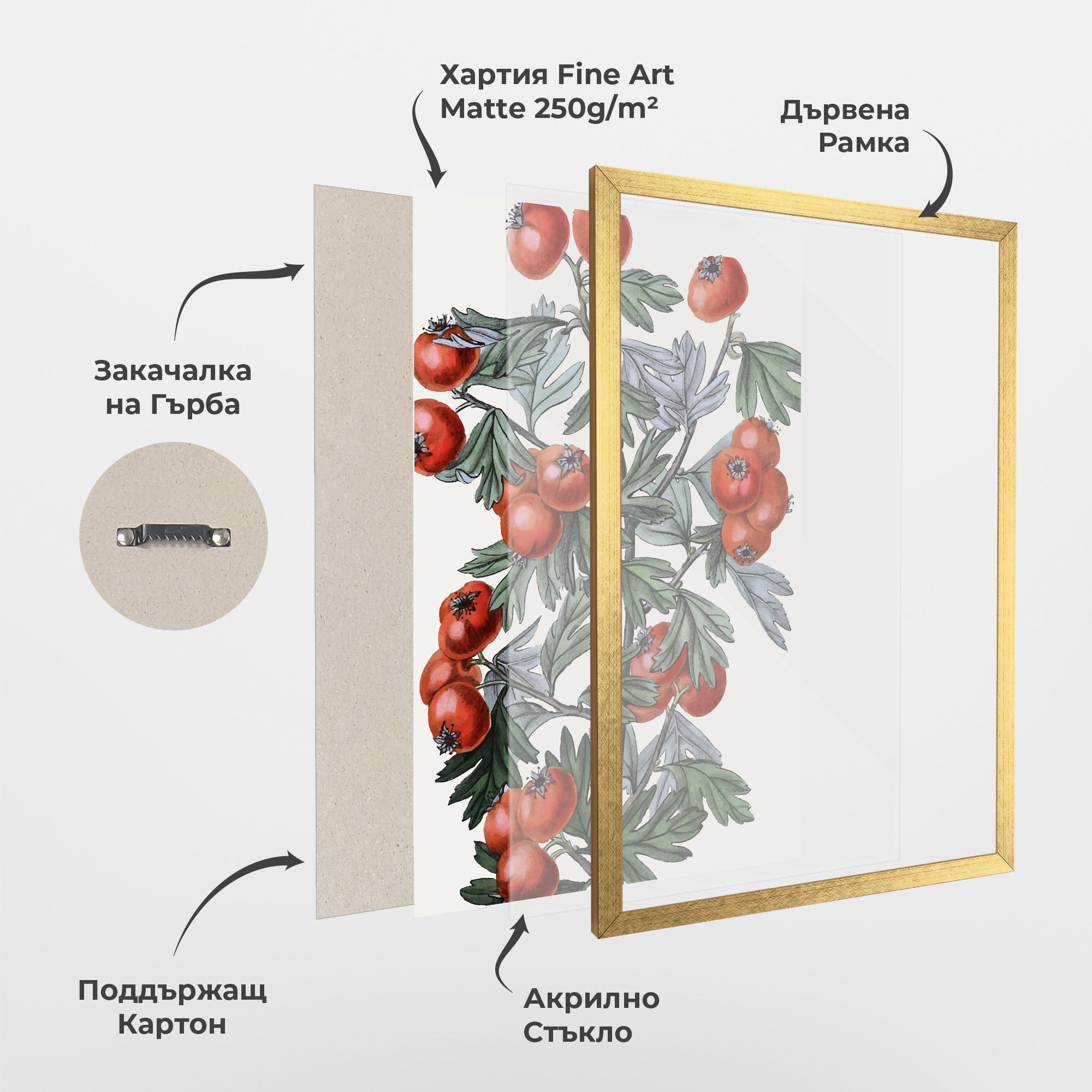 Рамкиран постер Cherry Drawing mockup 1