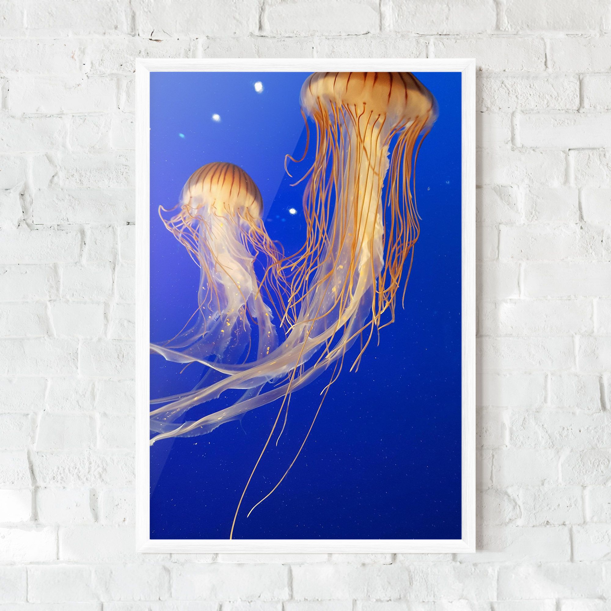 Light Orange Jellyfish mockup 0