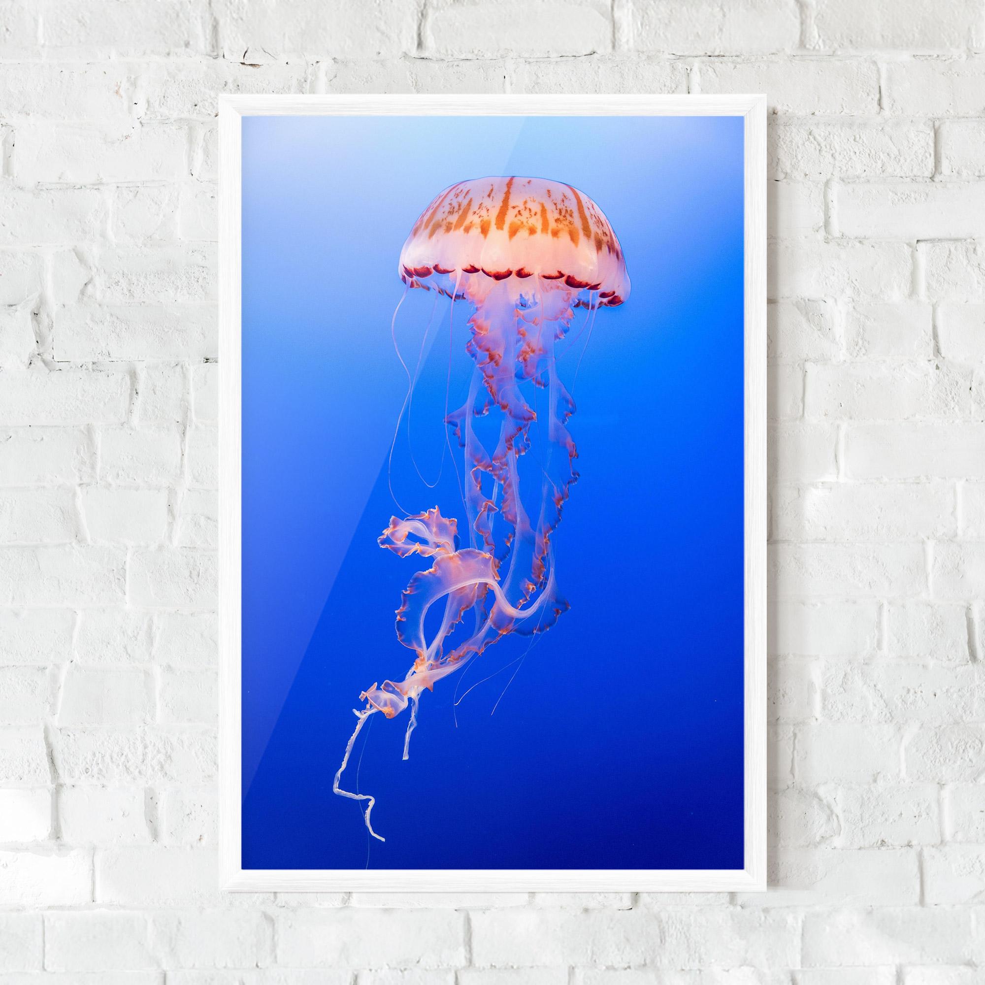 Рамкиран постер Pretty White Jellyfish mockup 0
