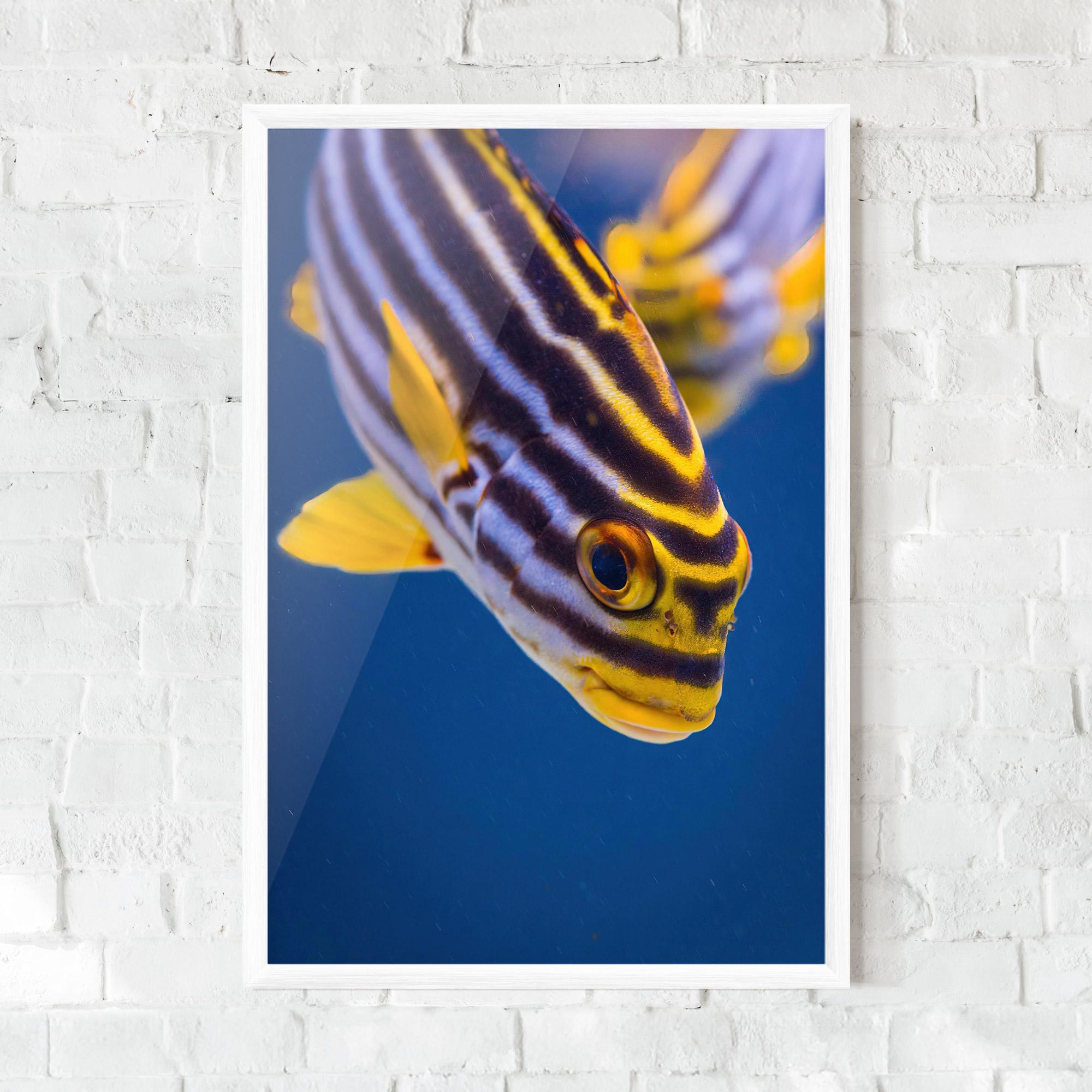 Рамкиран постер Purple Yellow Fish mockup 0