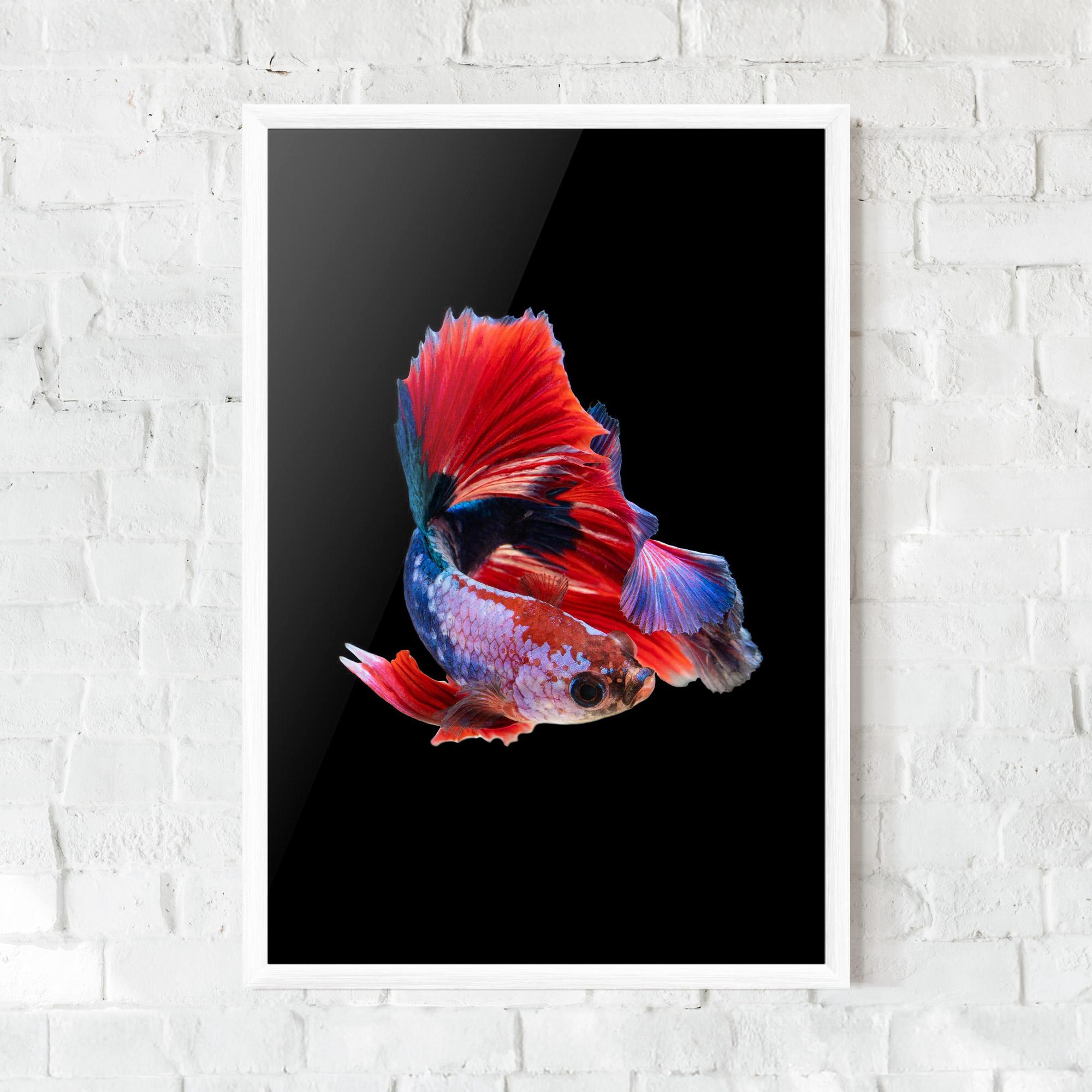 Рамкиран постер Red Black Betta mockup 0