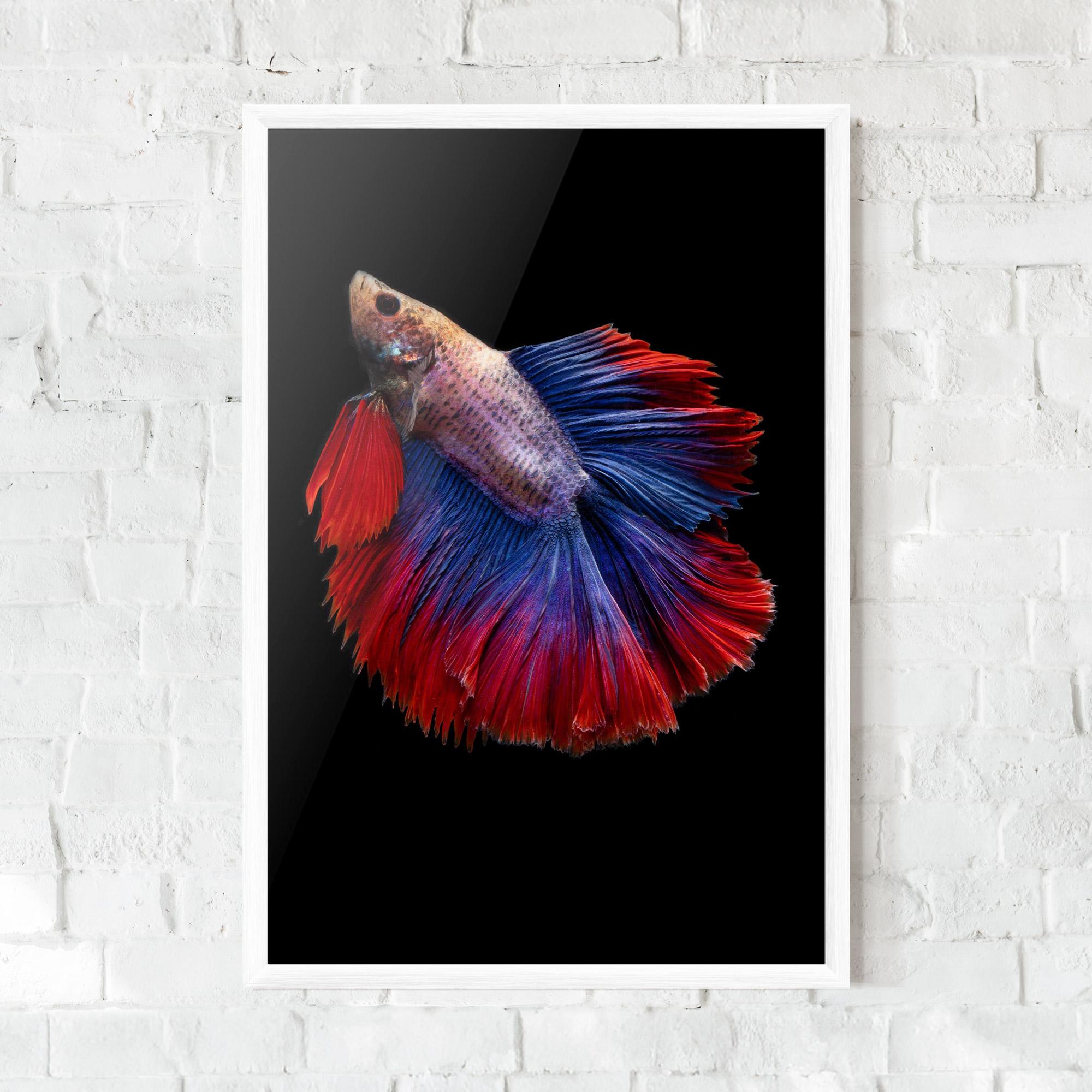Рамкиран постер Red Blue Betta mockup 0