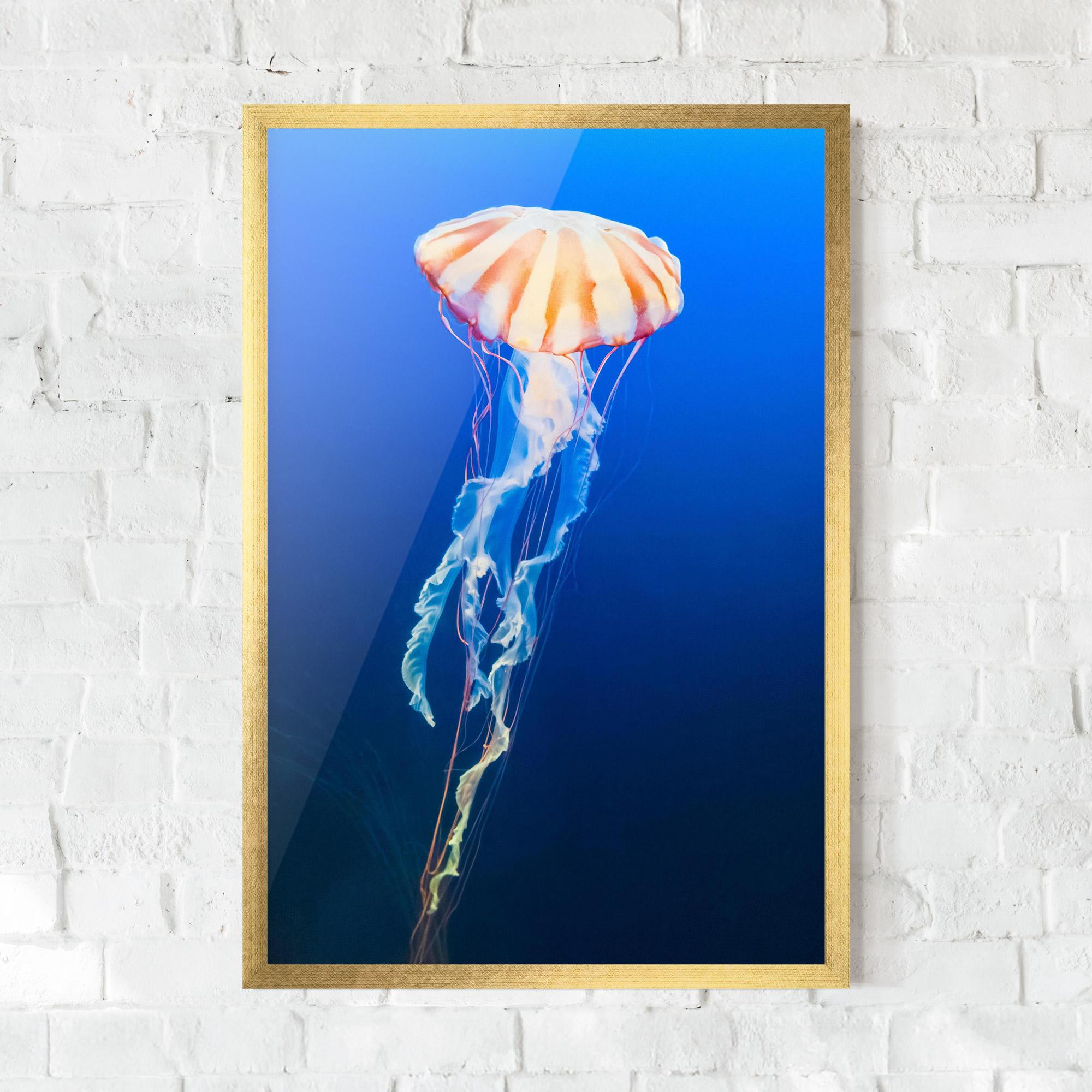 Рамкиран постер Cream Jellyfish mockup 0