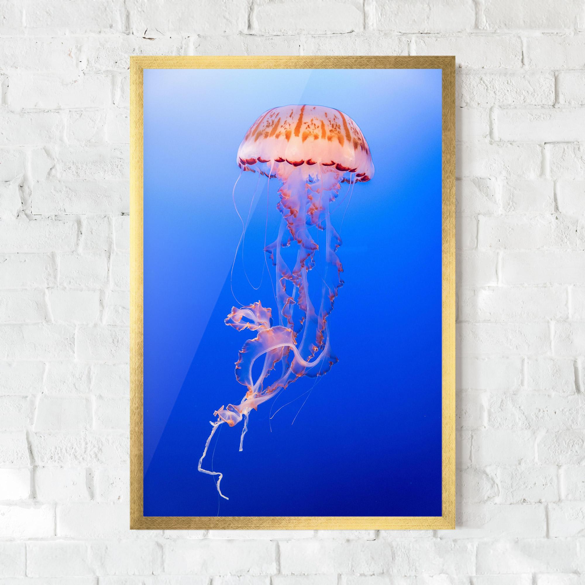 Рамкиран постер Pretty White Jellyfish mockup 0