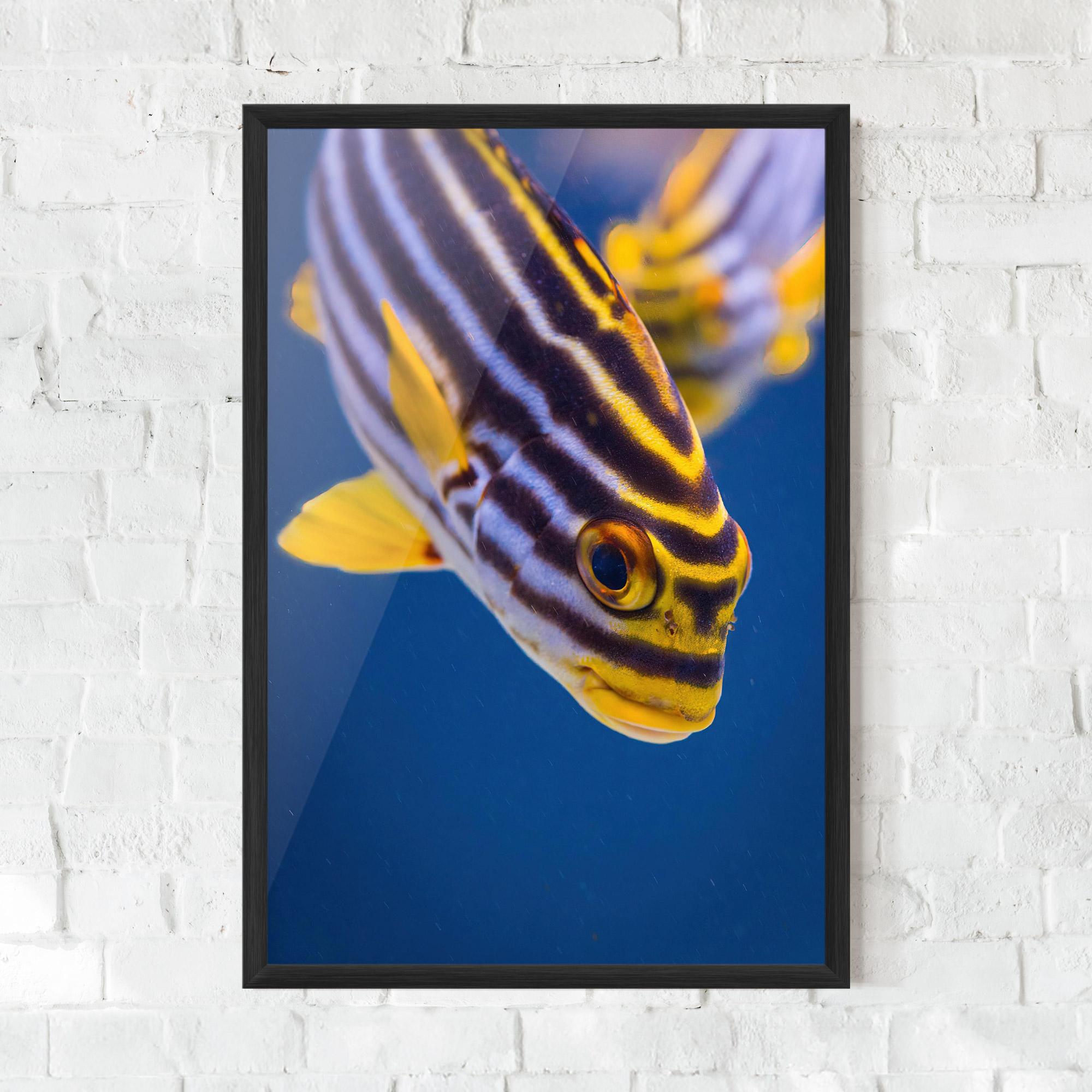 Рамкиран постер Purple Yellow Fish mockup 0