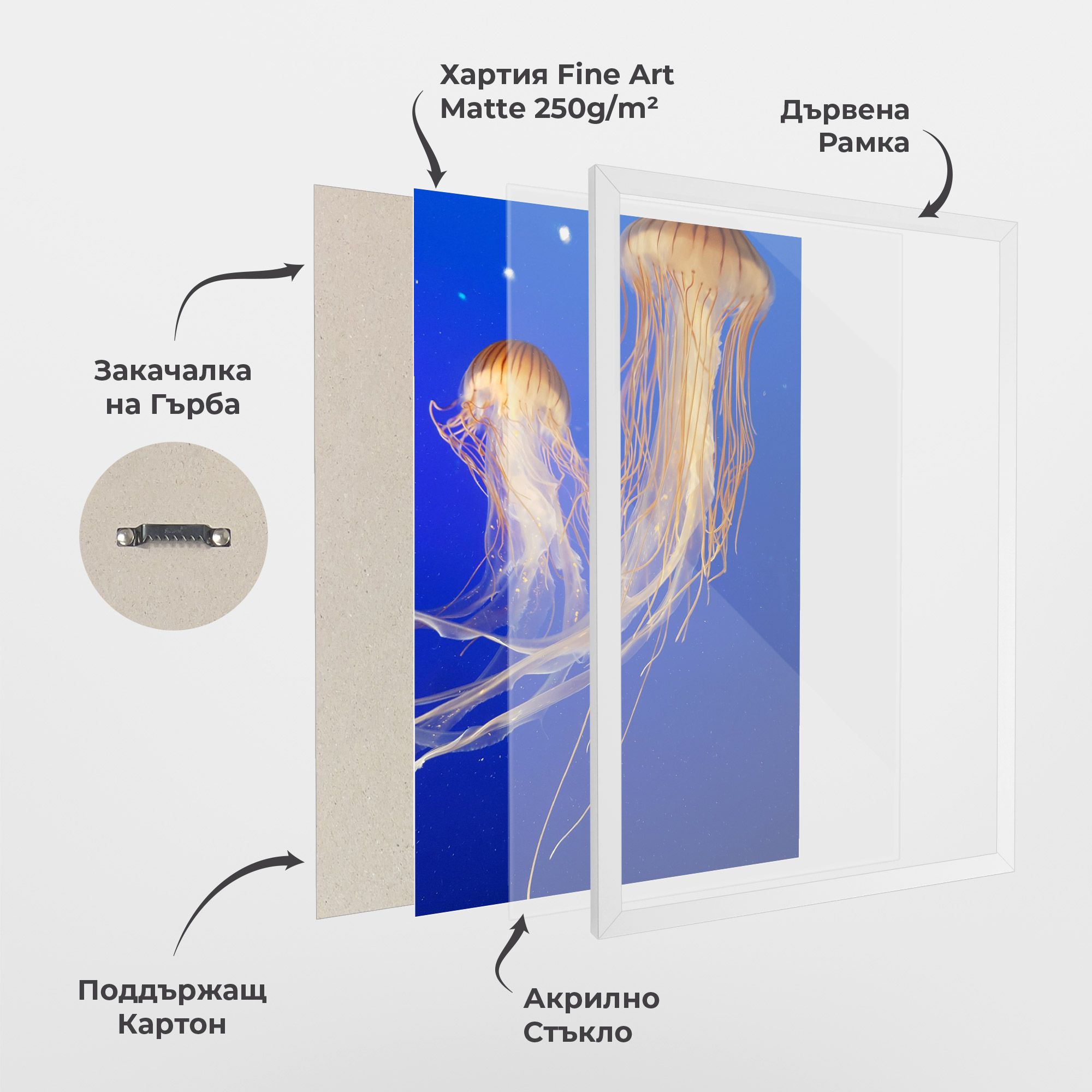 Light Orange Jellyfish mockup 1
