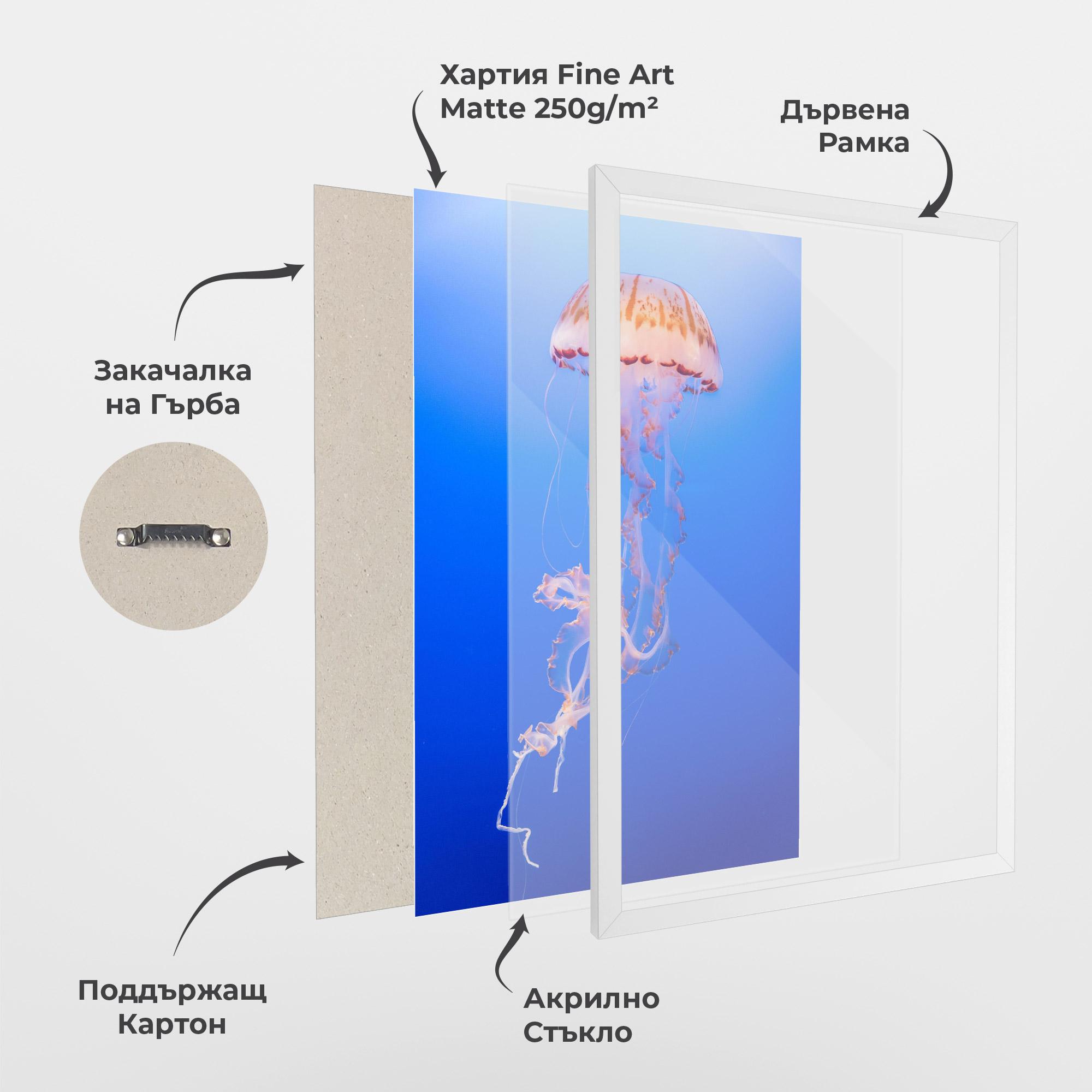 Рамкиран постер Pretty White Jellyfish mockup 1