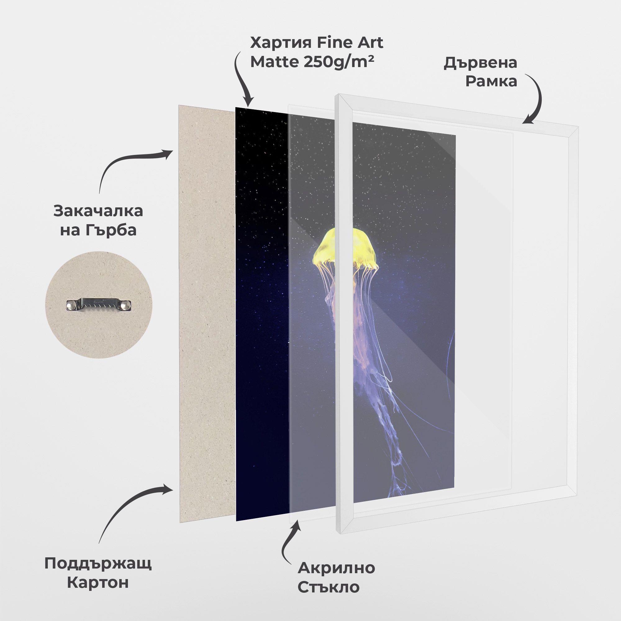 Purple Jellyfish mockup 1