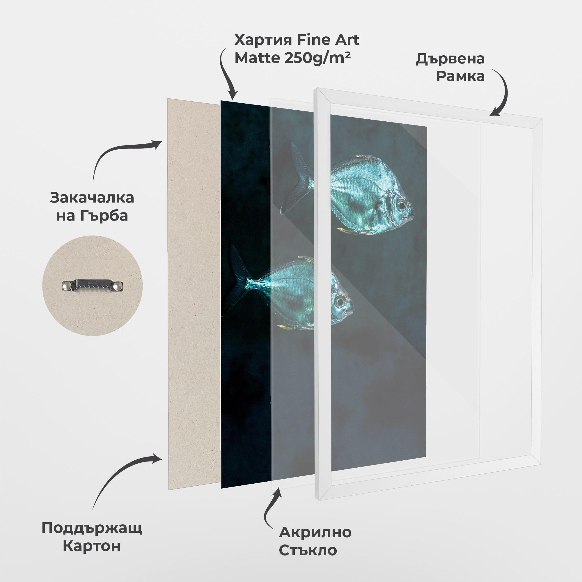 Рамкиран постер Silver Fish mockup 1