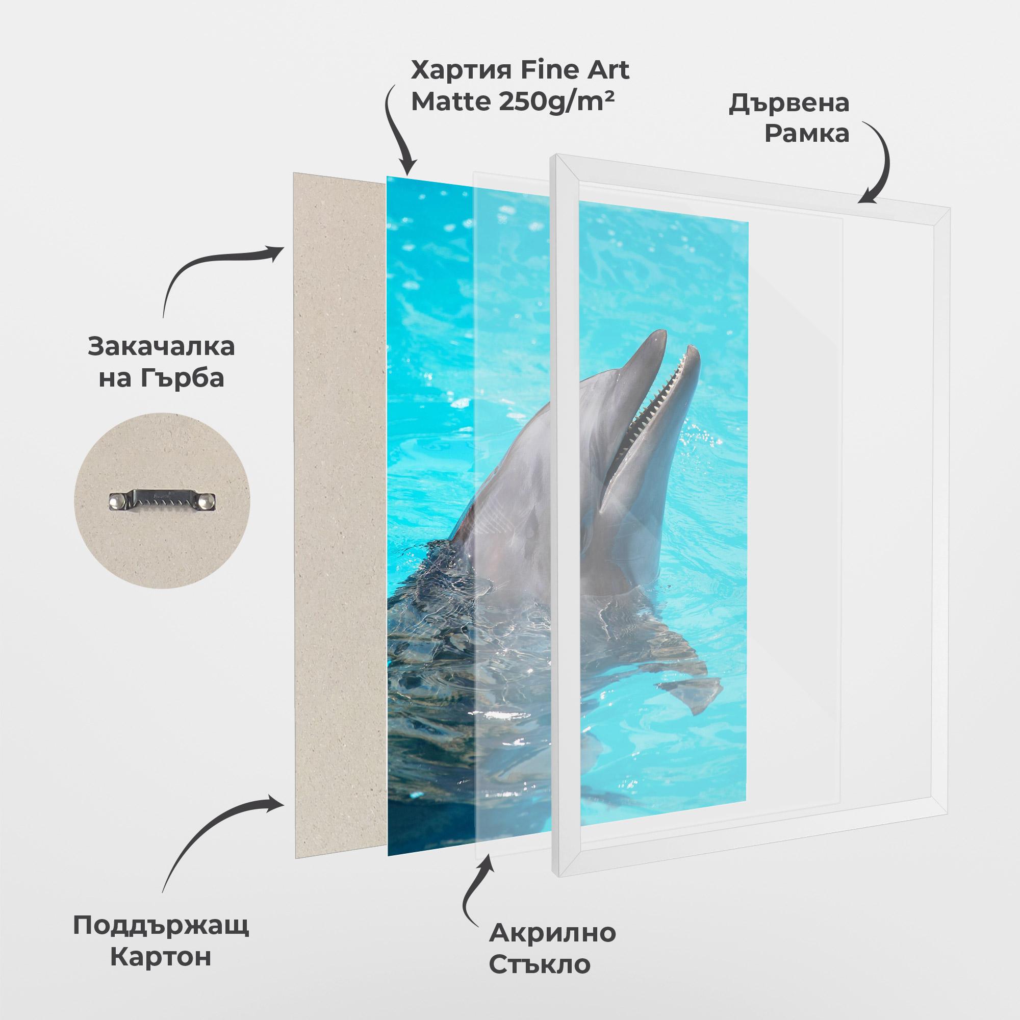 Рамкиран постер Trained Dolphin mockup 1