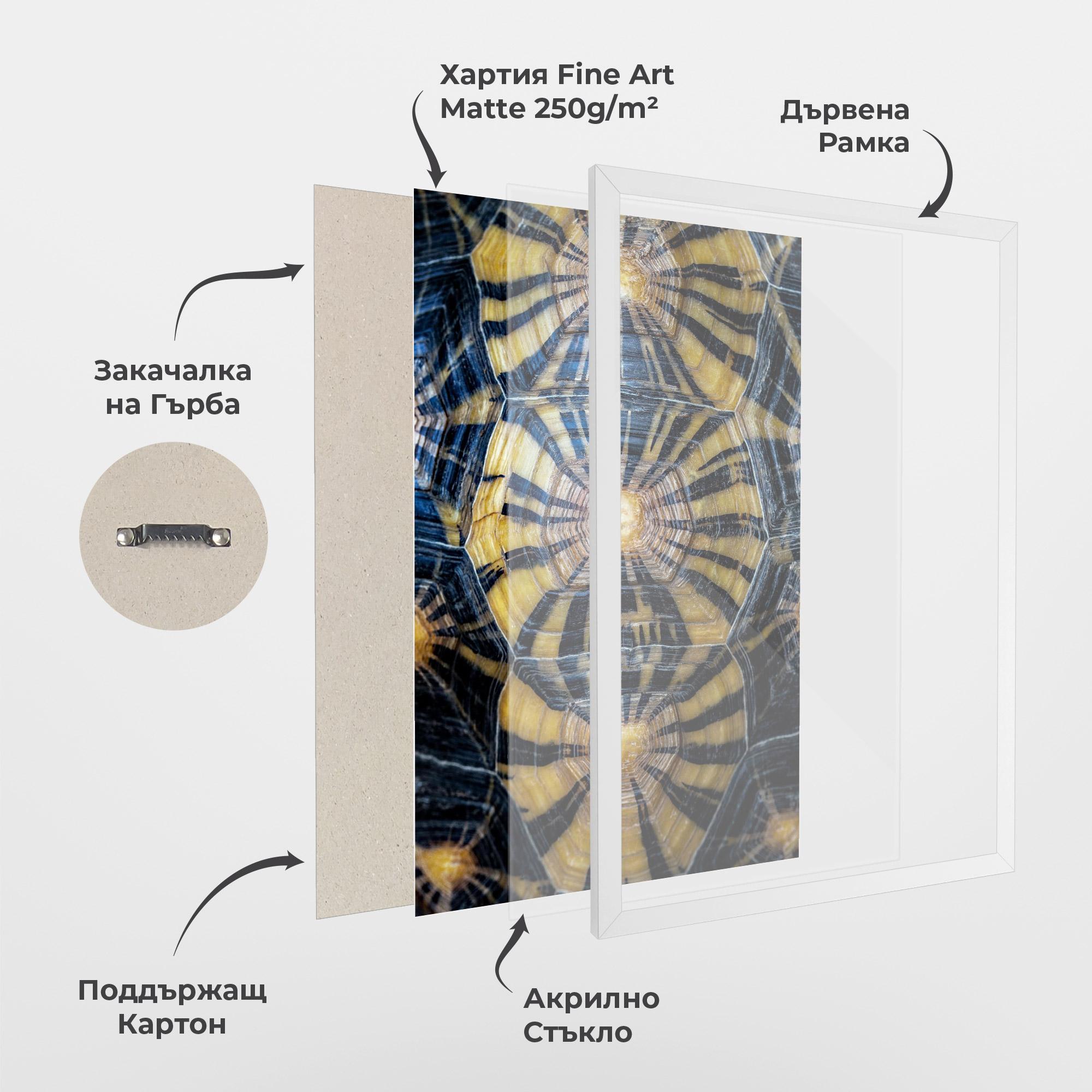 Рамкиран постер Turtle Shell mockup 1