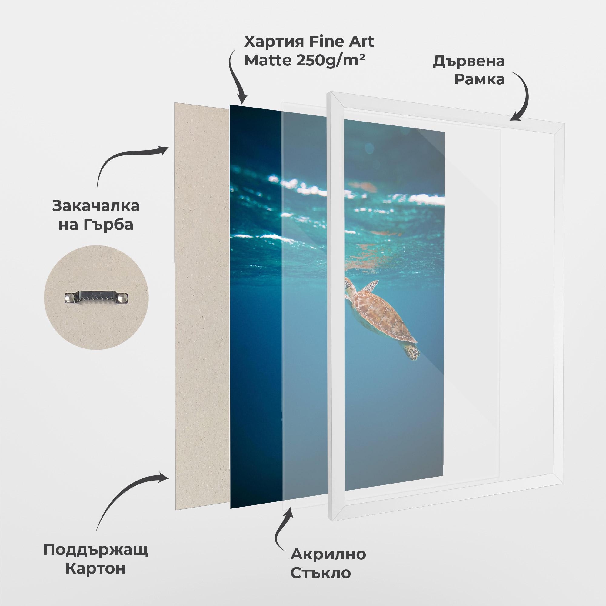 Рамкиран постер Water Turtle mockup 1