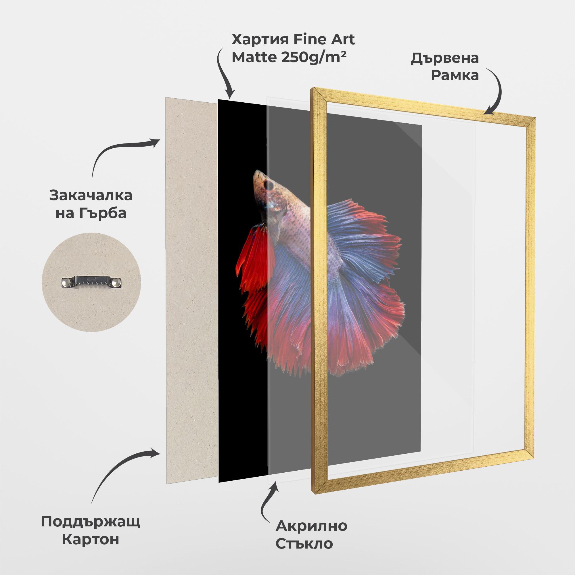 Рамкиран постер Red Blue Betta mockup 1