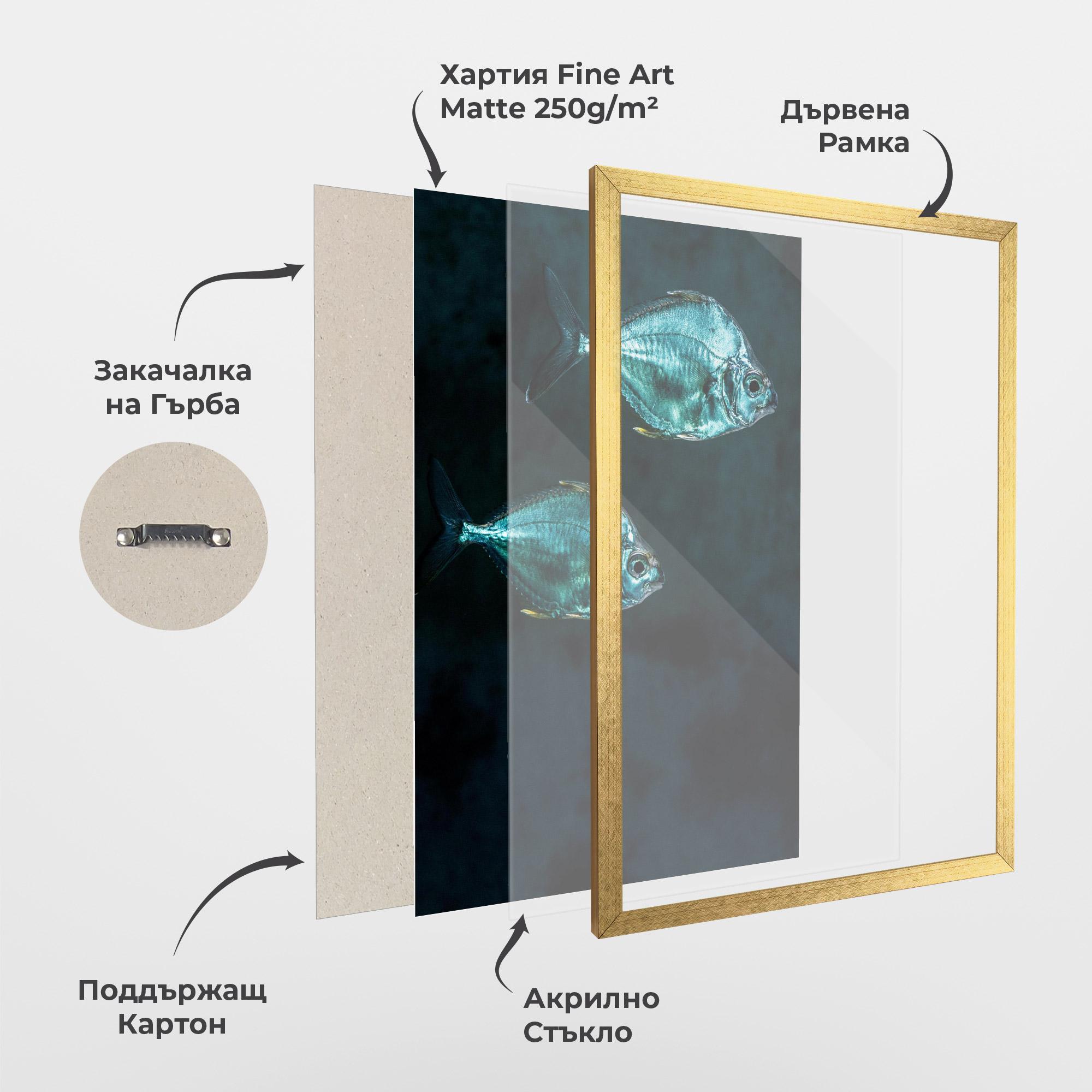 Рамкиран постер Silver Fish mockup 1